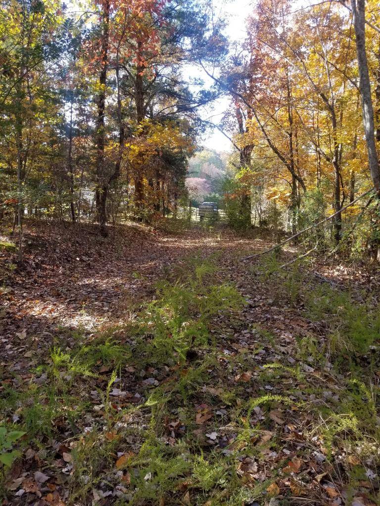 Spring City, TN 37381,8.62 Acres Tammy Tr