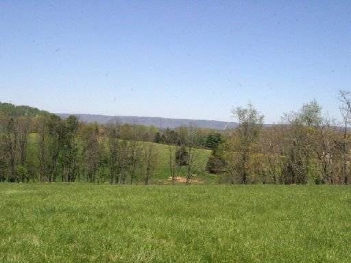 Rutledge, TN 37861,Lot 12 Locust Rd