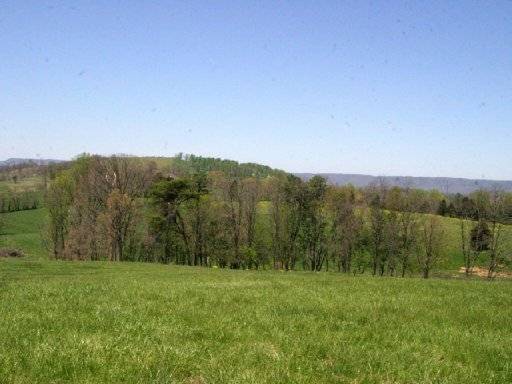 Rutledge, TN 37861,Lot 12 Locust Rd