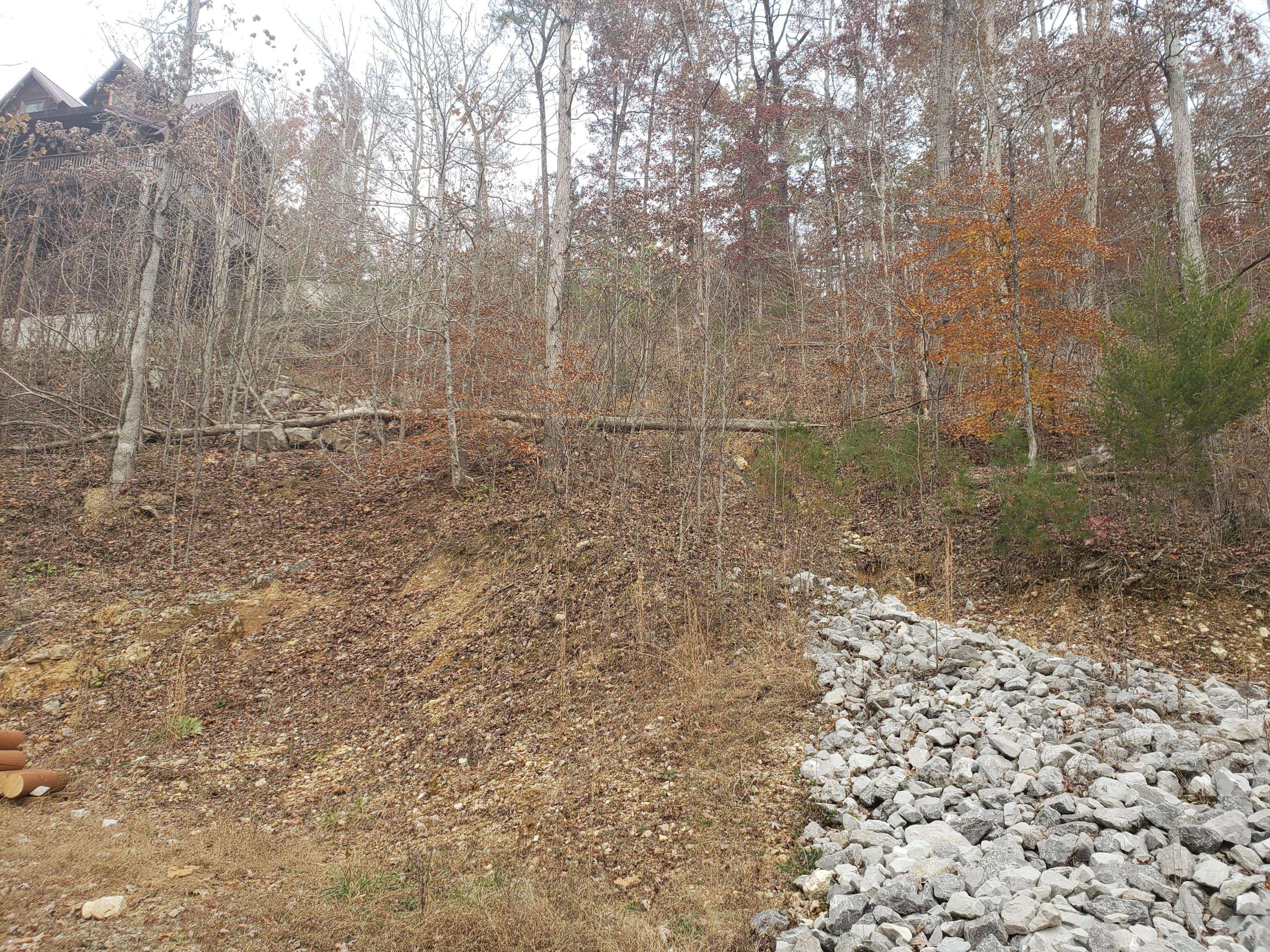 Caryville, TN 37714,Lot 10 Poplar Creek CT