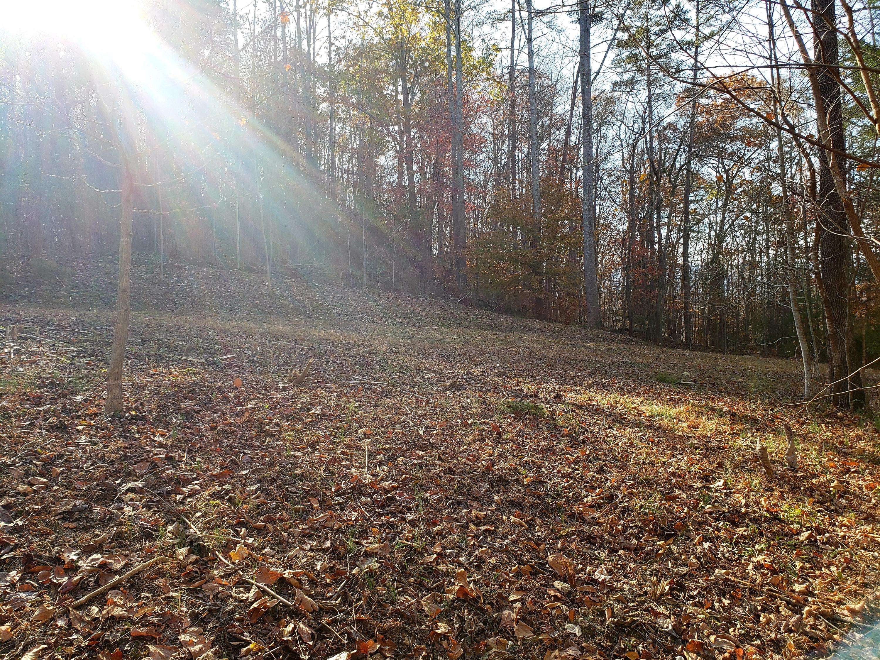 Caryville, TN 37714,Lot 18 Lakemont LN