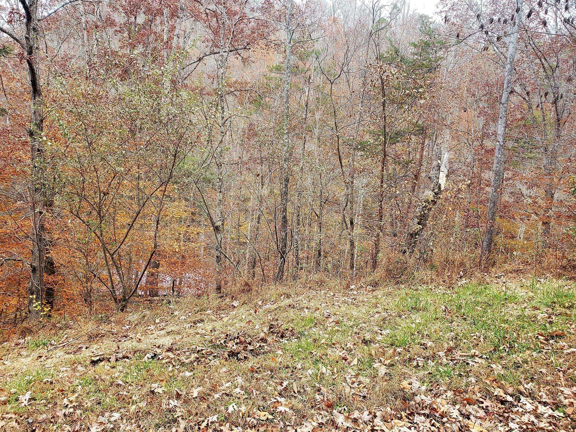 Caryville, TN 37714,Lot 9 Poplar Creek CT