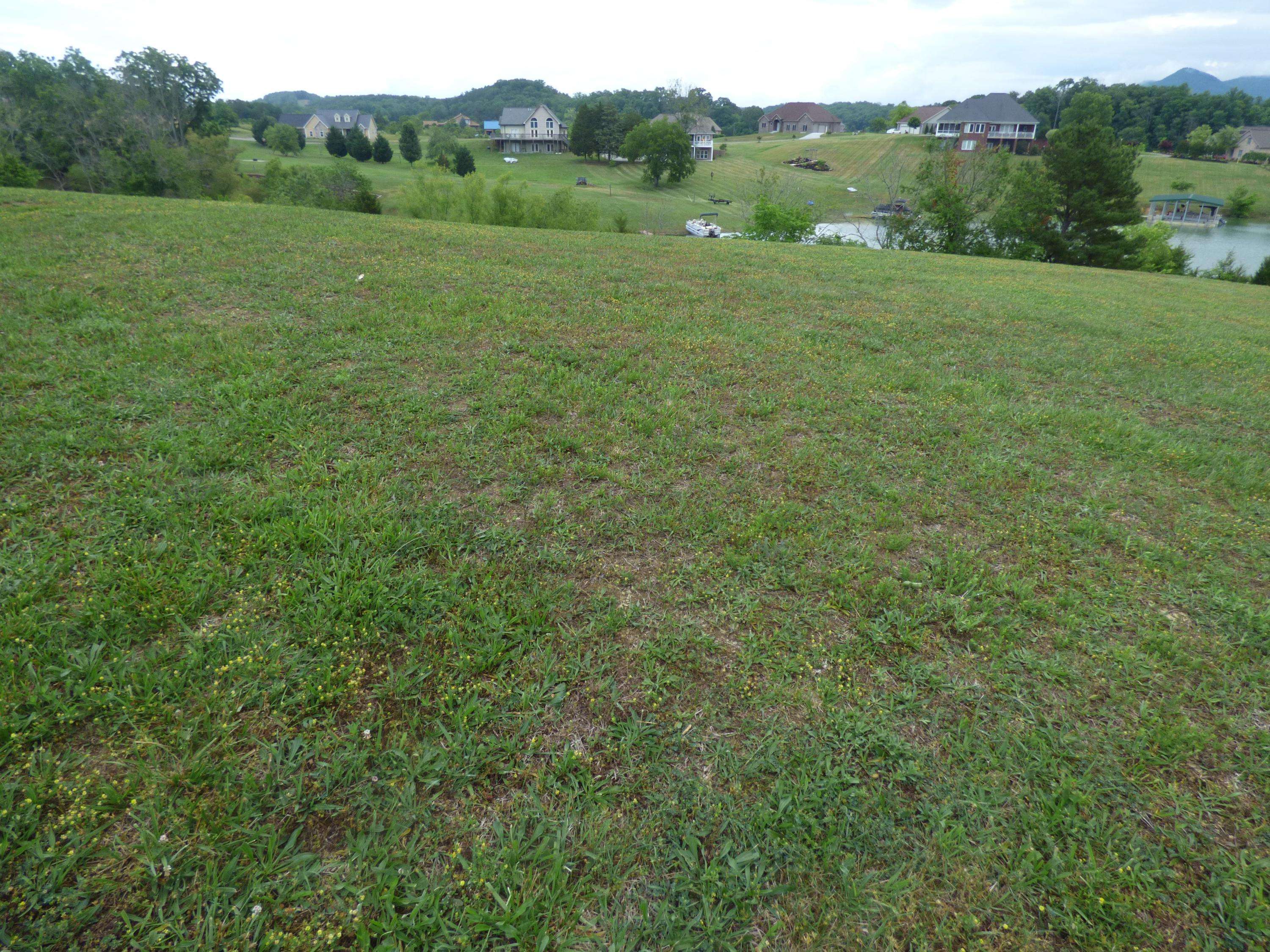 Dandridge, TN 37725,Lot 2 Indian Creek Rd