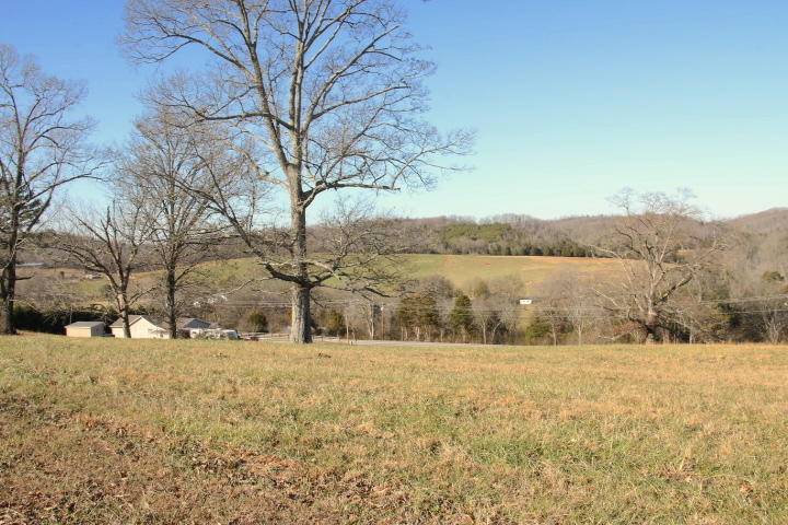 Madisonville, TN 37354,Lot 21 Candi Ln