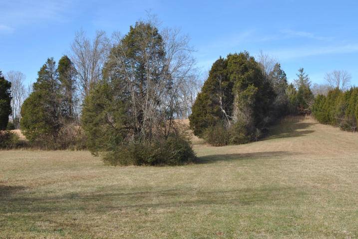 Norris, TN 37828,5 Acres Andersonville Hwy