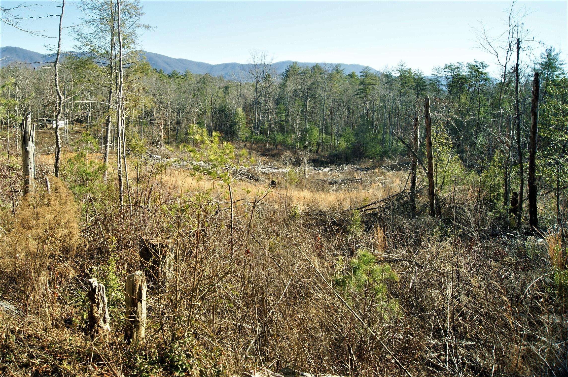 Tellico Plains, TN 37385,12 Acres Pond Ridge Rd #1