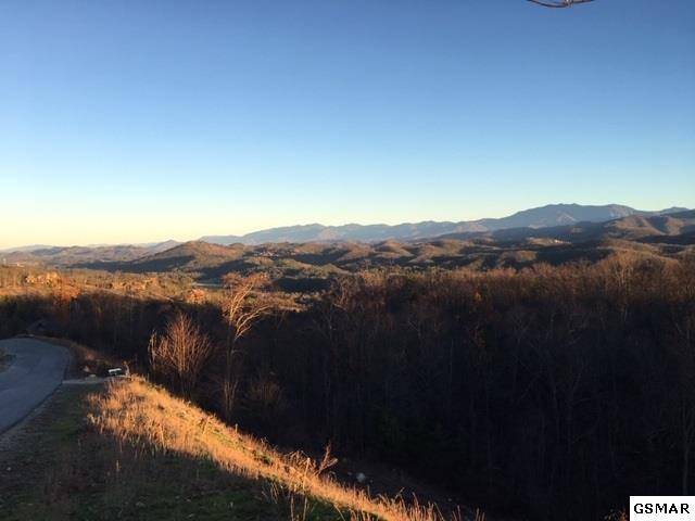 Sevierville, TN 37862,Lot 104 Laurel Cove Tr