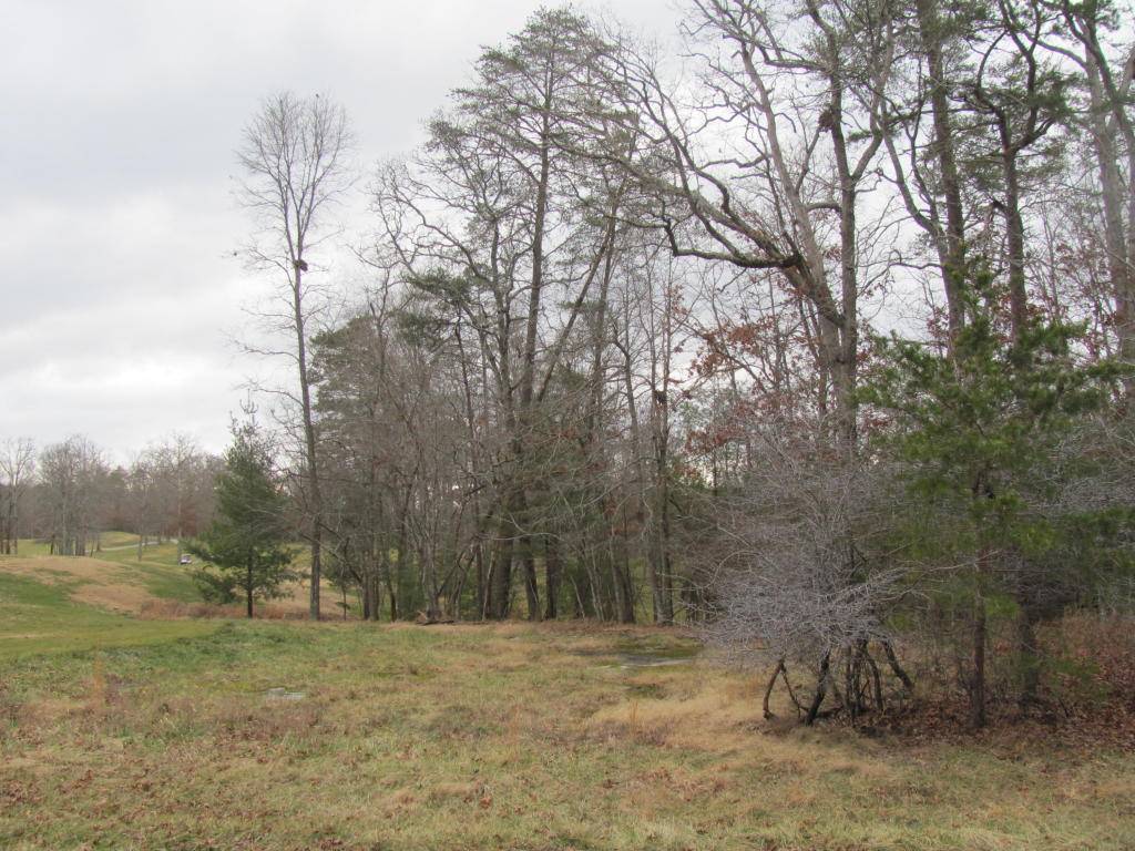 Fairfield Glade, TN 38558,101 Forest View DR