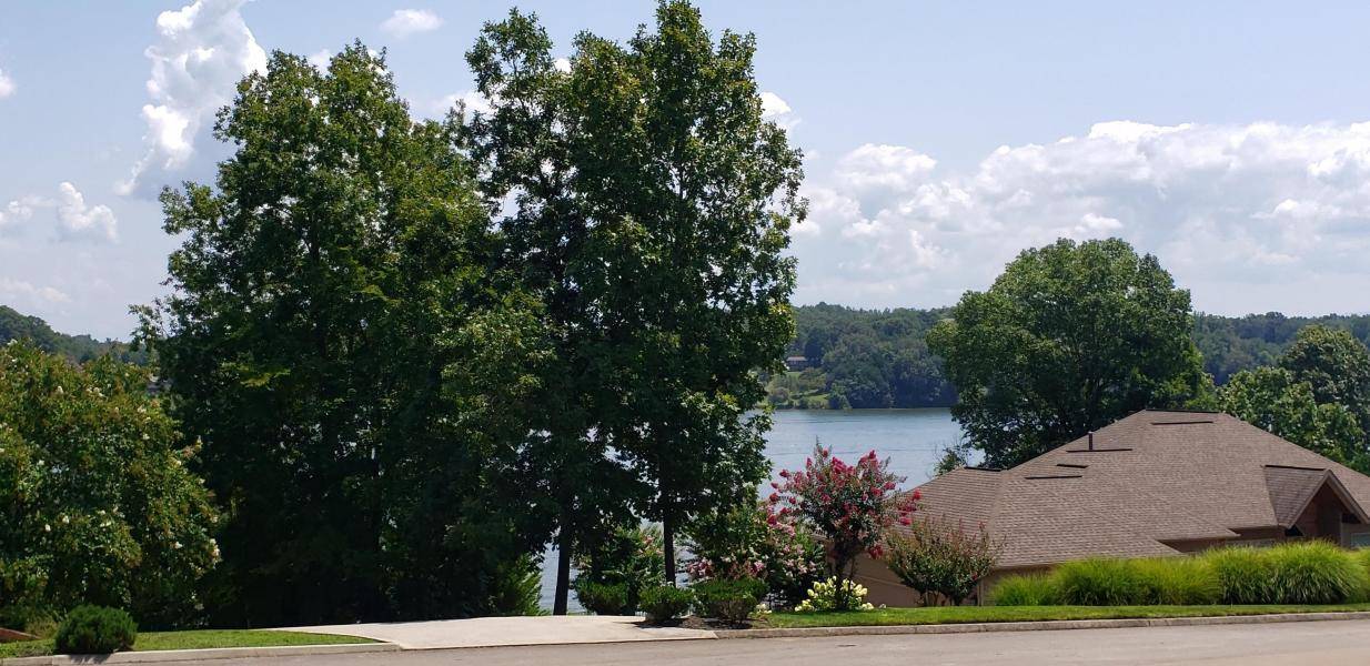 Lenoir City, TN 37772,131 Turtle Cove CT