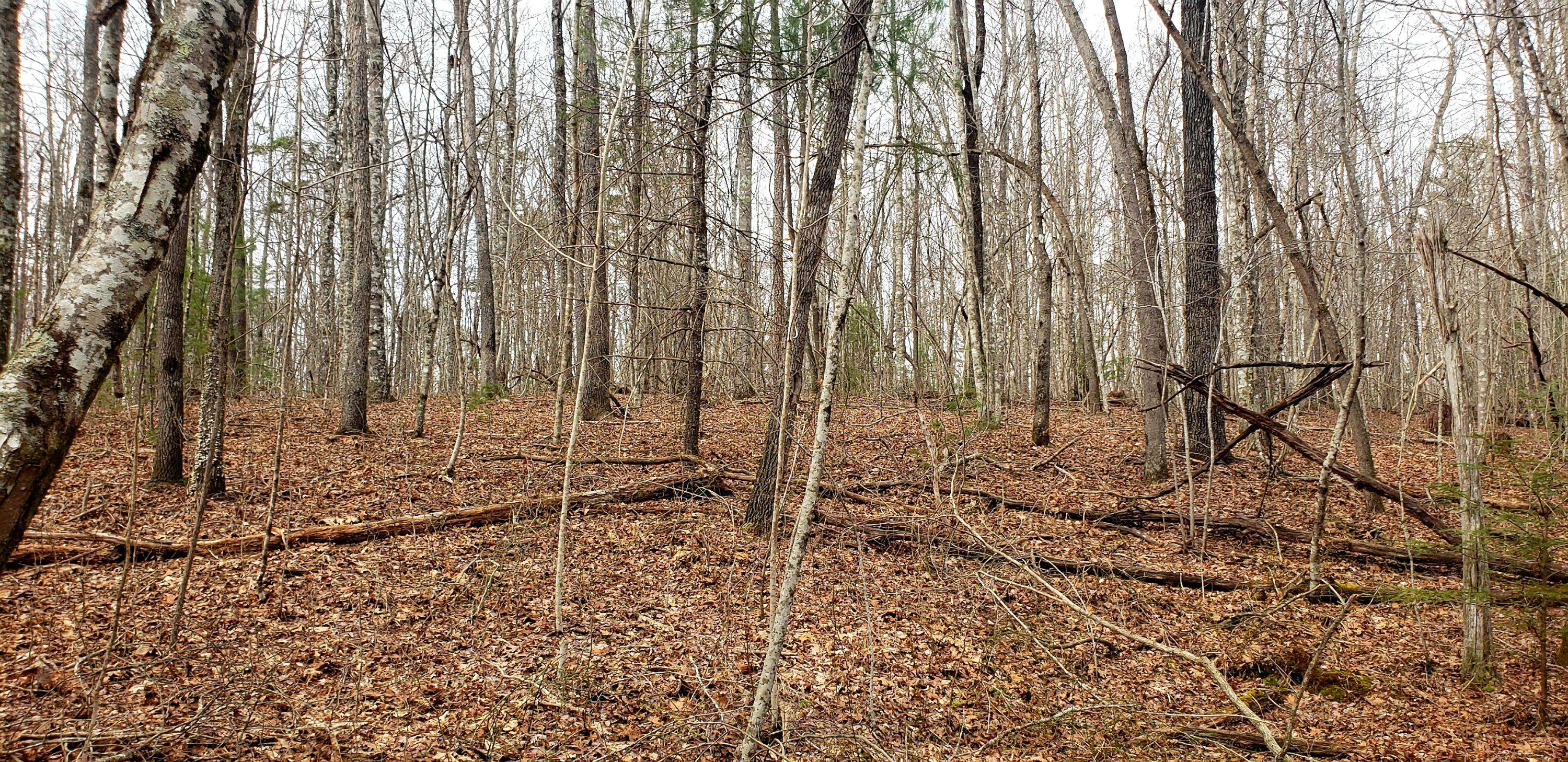 Jamestown, TN 38556,Lot 1002 Spruce Creek DR