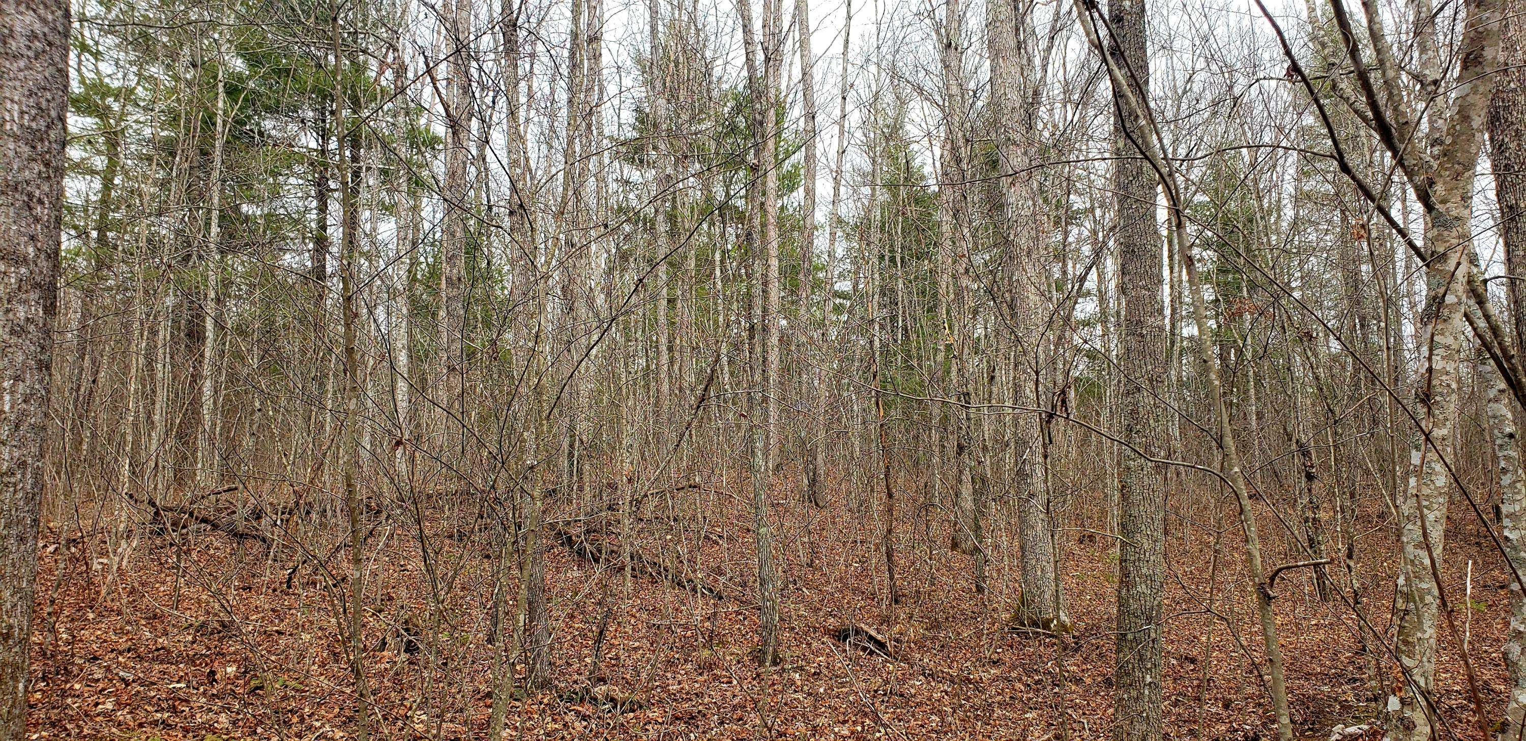 Jamestown, TN 38556,Lot 1006 Spruce Creek DR