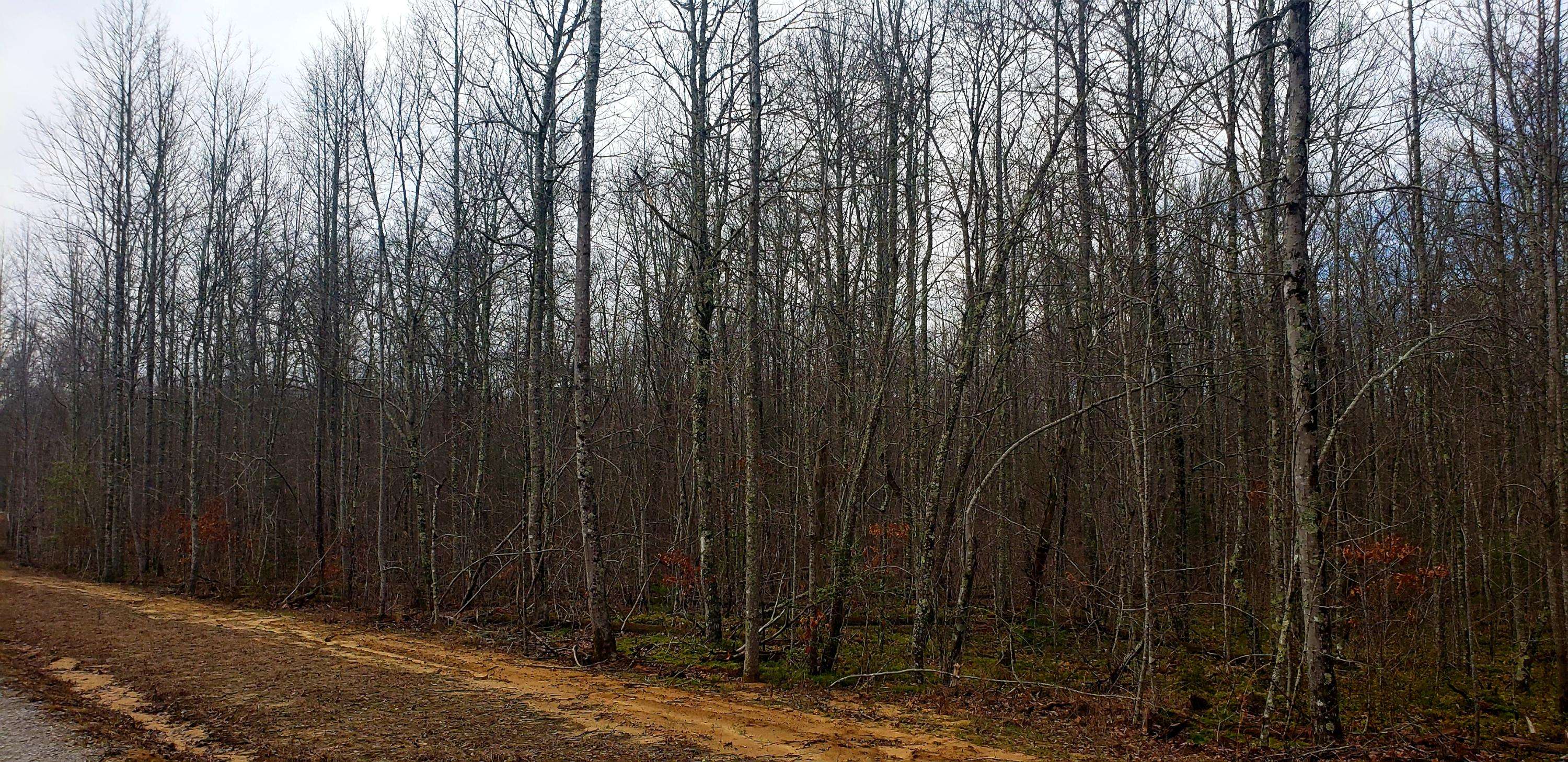 Jamestown, TN 38556,Lot 1006 Spruce Creek DR