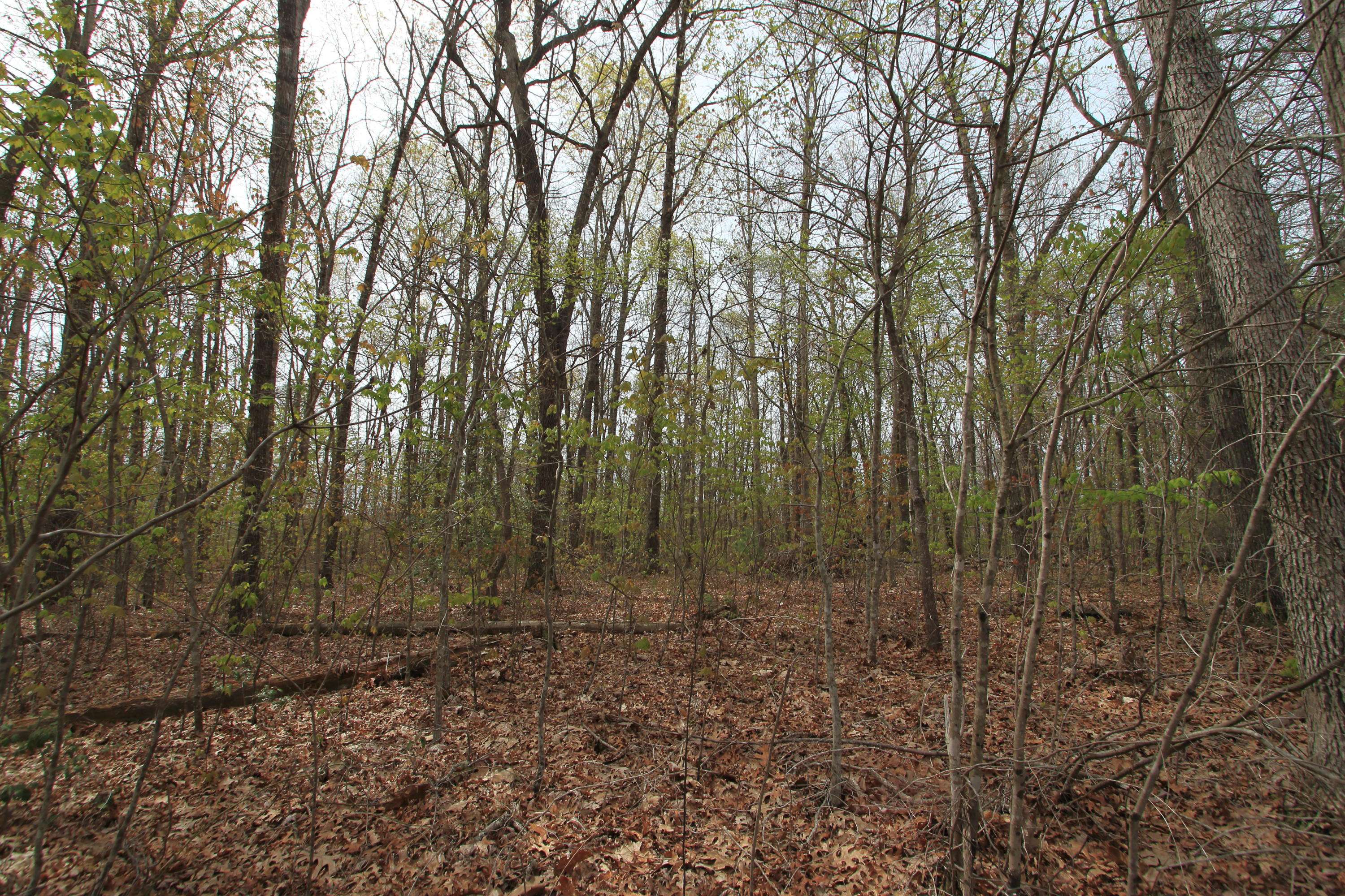 Jamestown, TN 38556,Lot 27 Tinchtown Rd