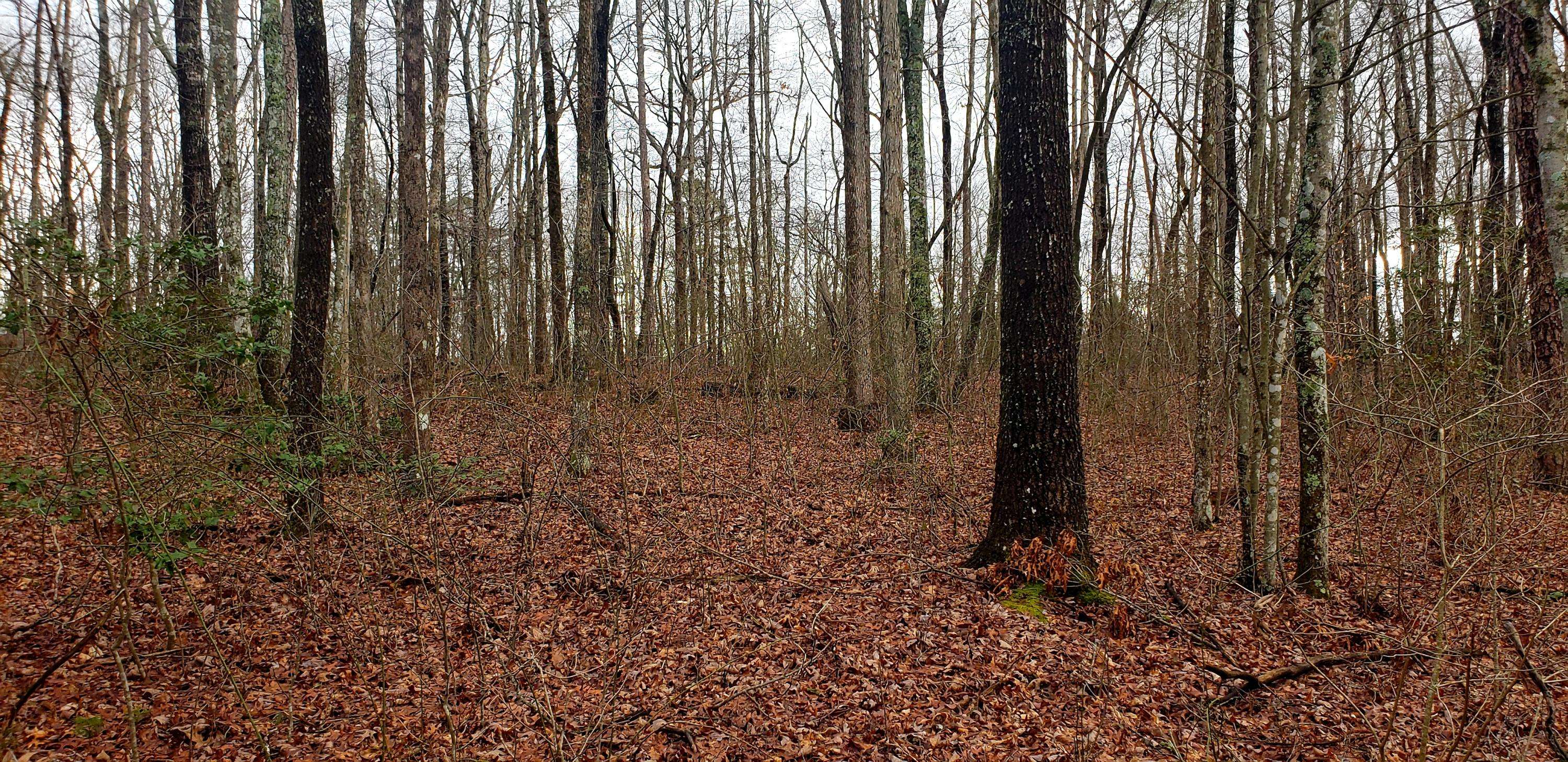 Jamestown, TN 38556,Lot 27 Tinchtown Rd