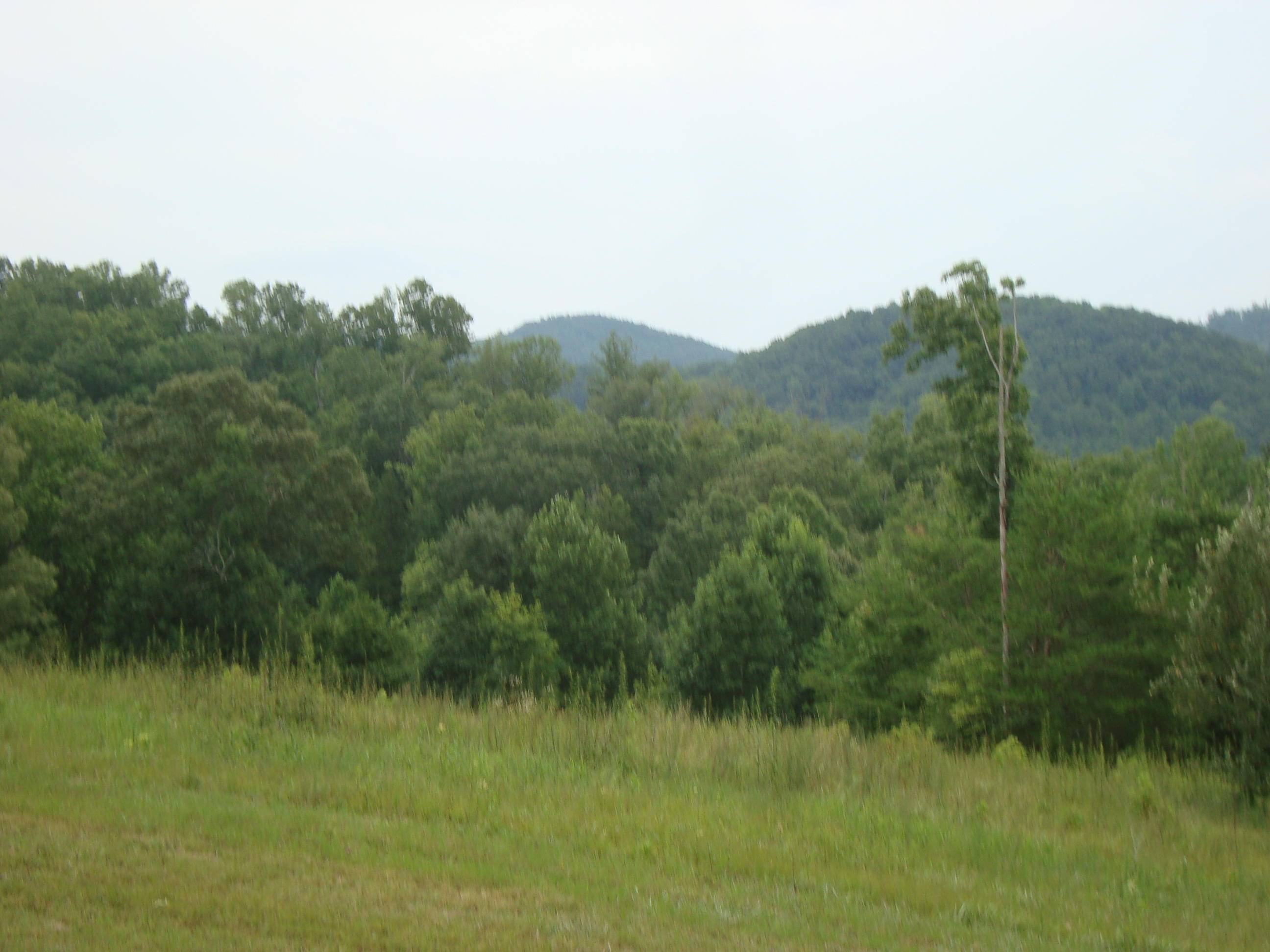 Tellico Plains, TN 37385,1 Williams Rd.