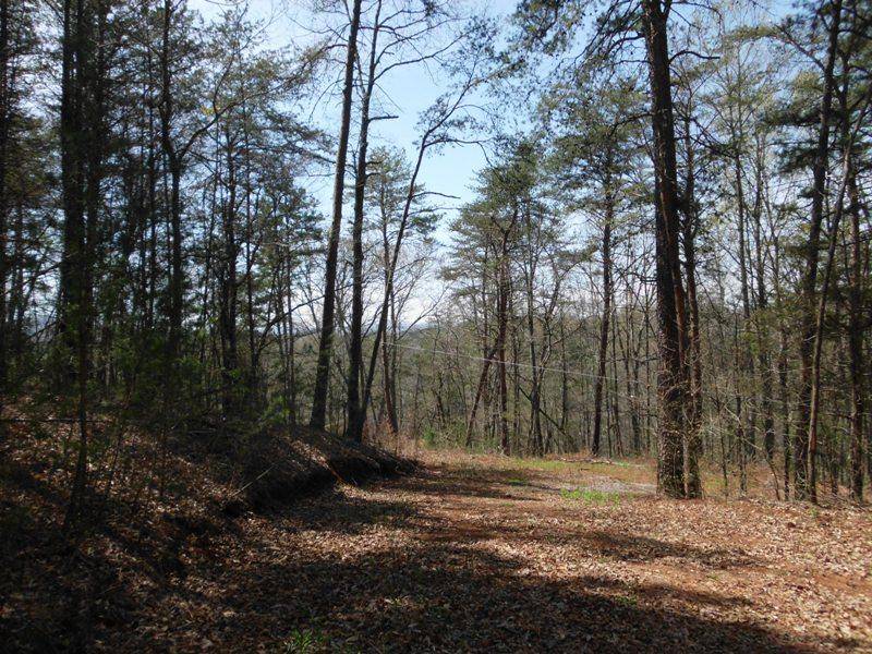 Tellico Plains, TN 37385,820 Belltown Rd