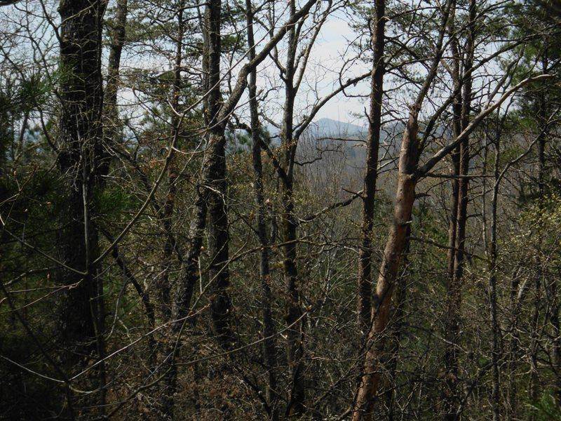 Tellico Plains, TN 37385,820 Belltown Rd