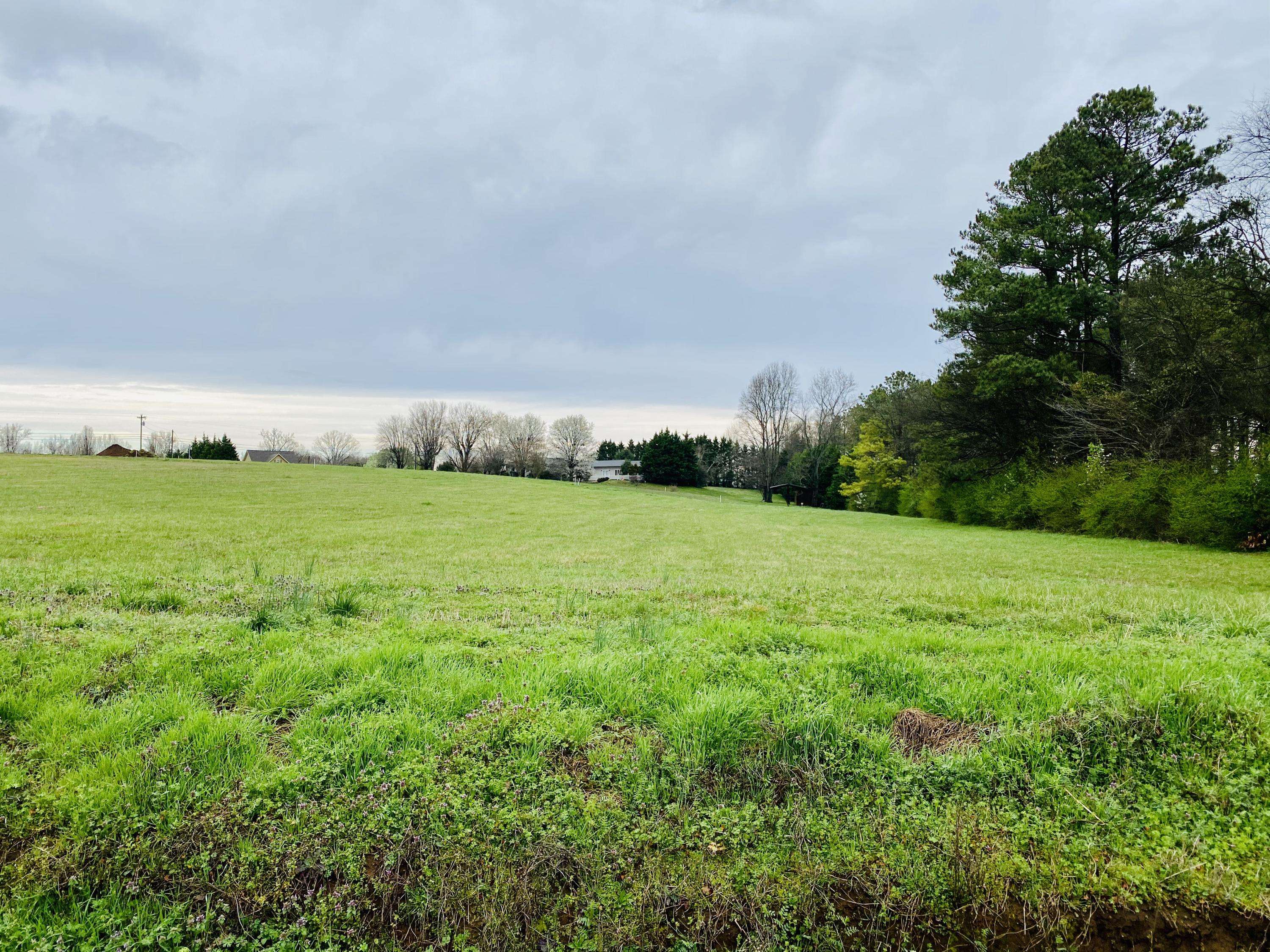 Madisonville, TN 37354,Lot 10 Fagin LN