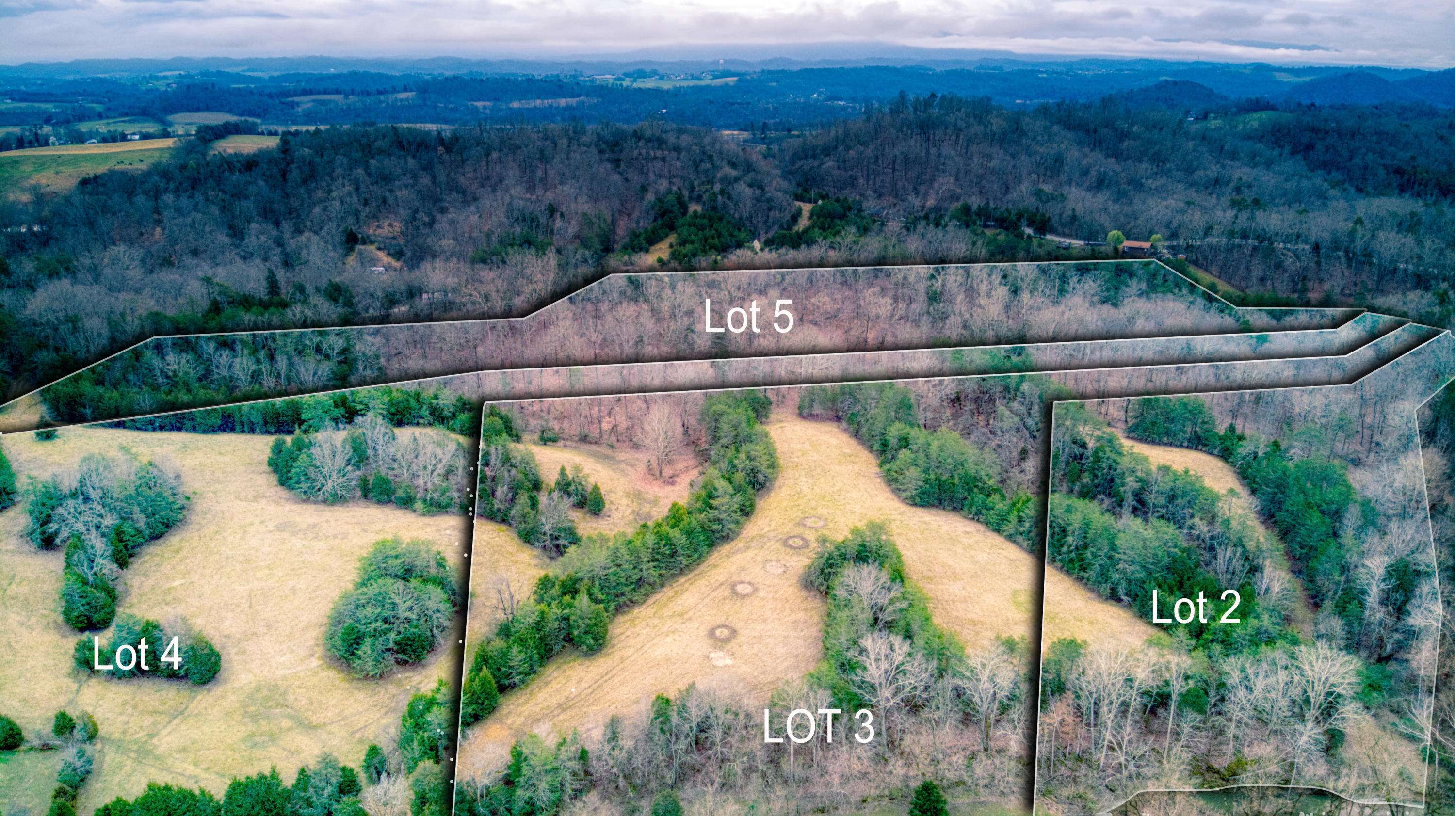 Strawberry Plains, TN 37871,Lot 2 Smith School Rd