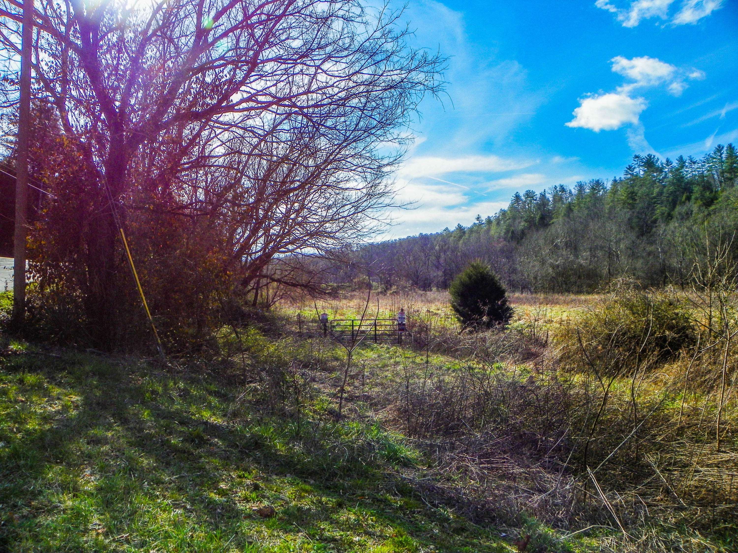 Sevierville, TN 37876,49.57 +/- Acre Tract Wilhite Road