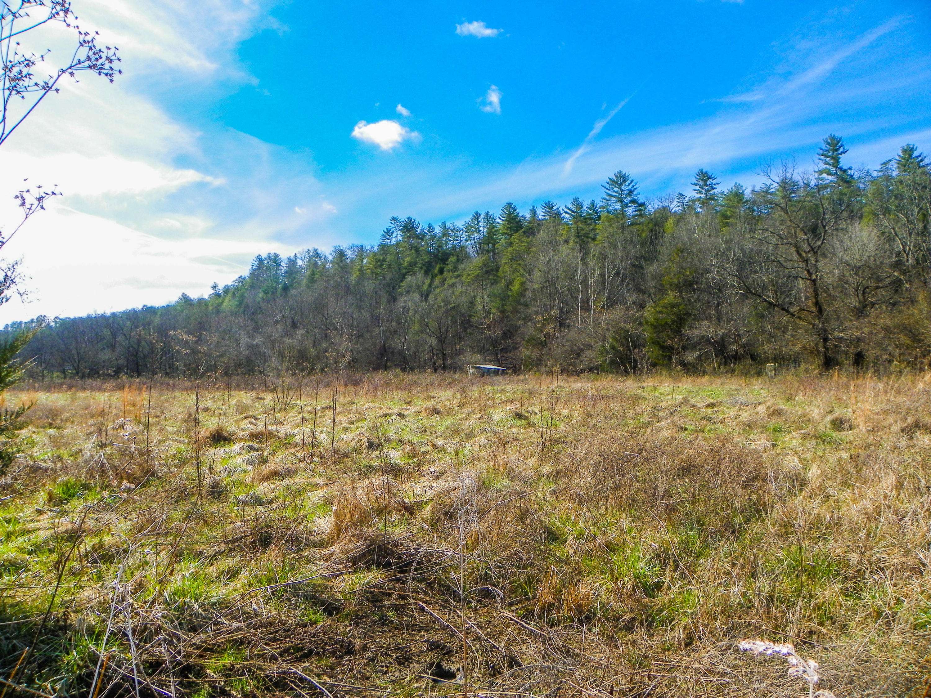 Sevierville, TN 37876,49.57 +/- Acre Tract Wilhite Road