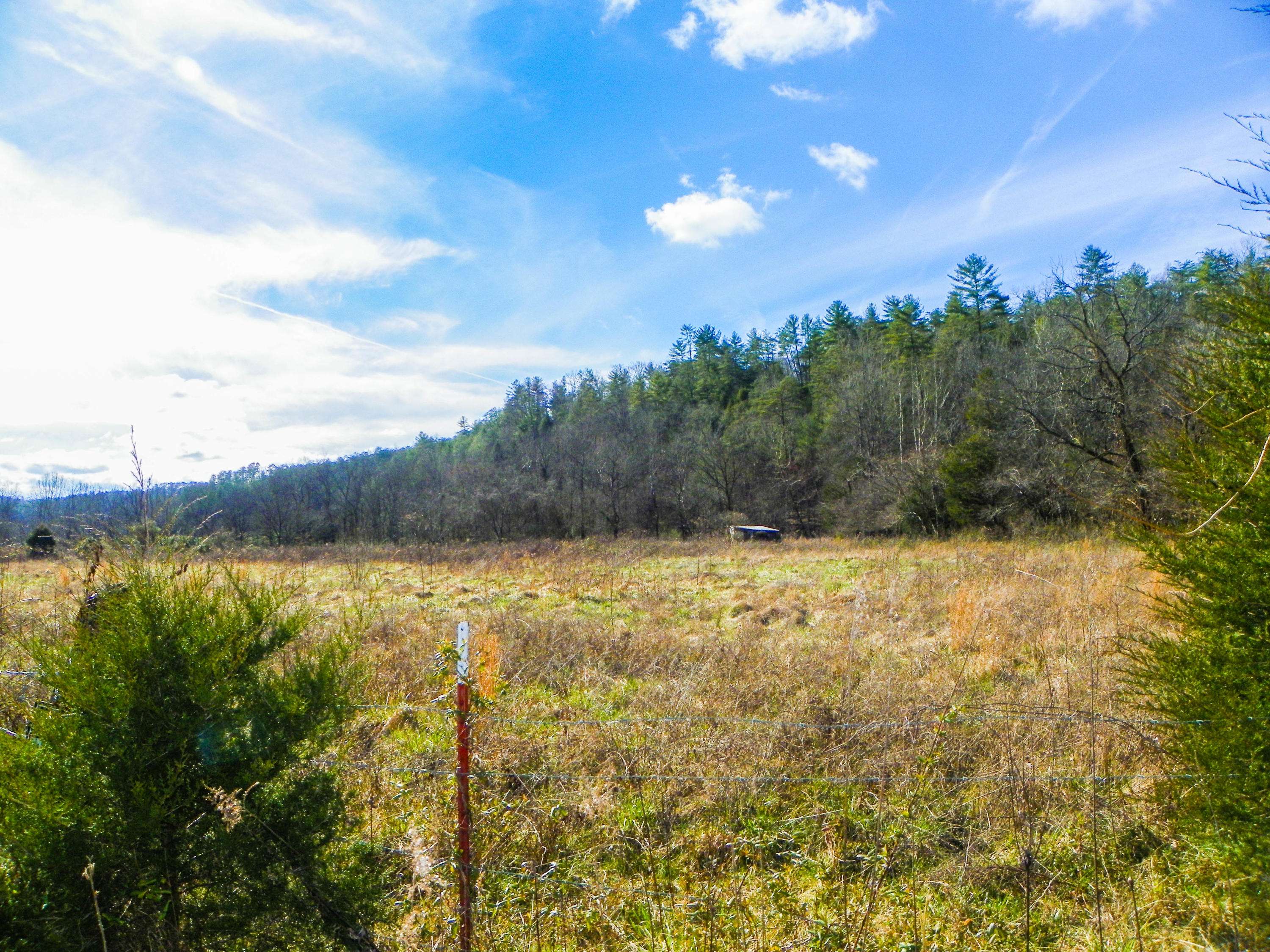 Sevierville, TN 37876,49.57 +/- Acre Tract Wilhite Road