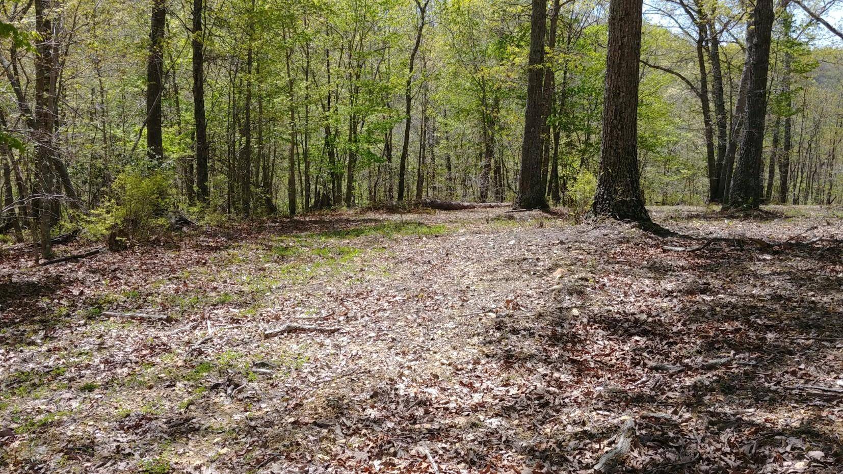 Hilham, TN 38568,13.65ac Benton Tidwell Rd