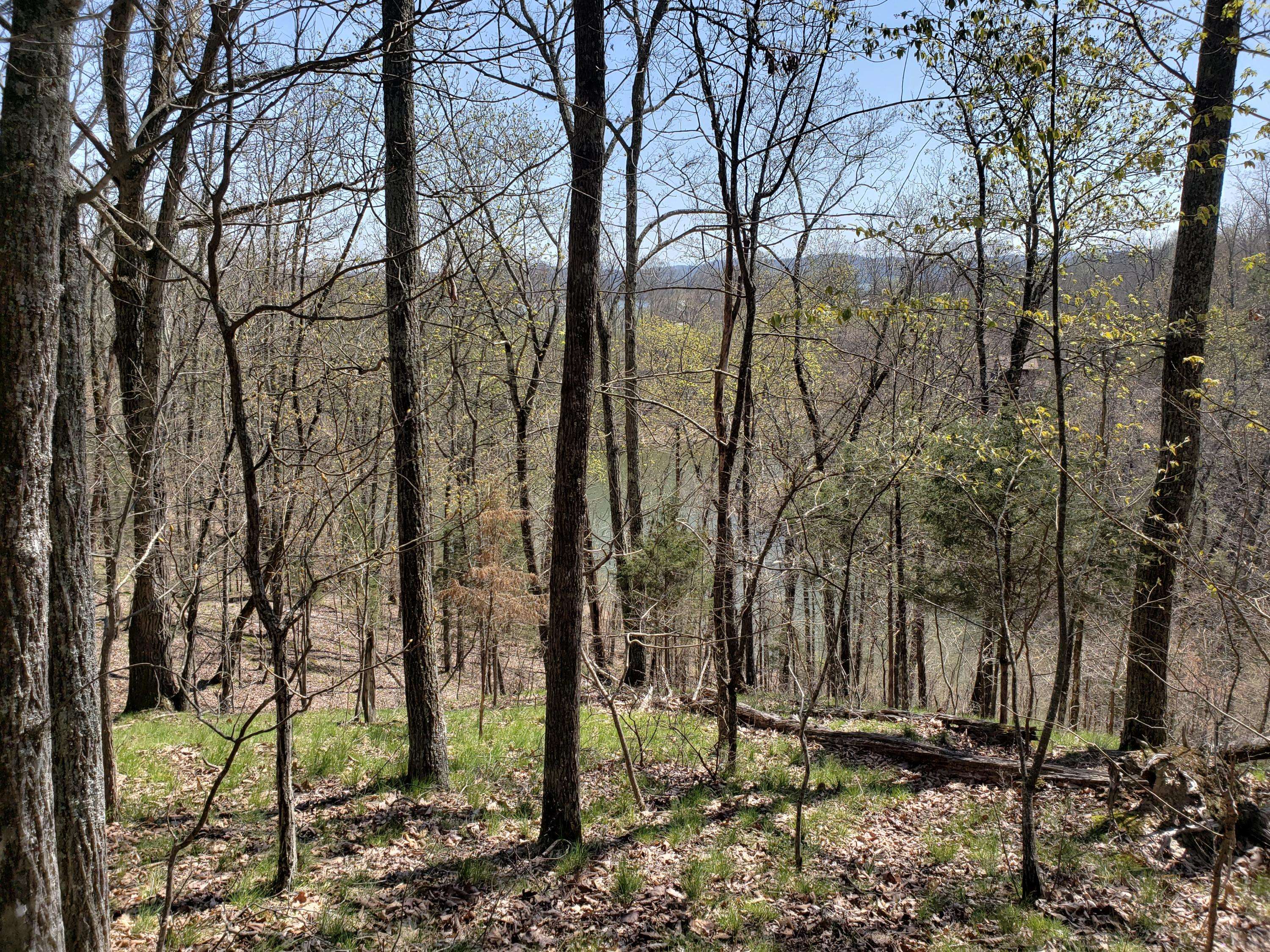 Mooresburg, TN 37811,856 Wilderness DR