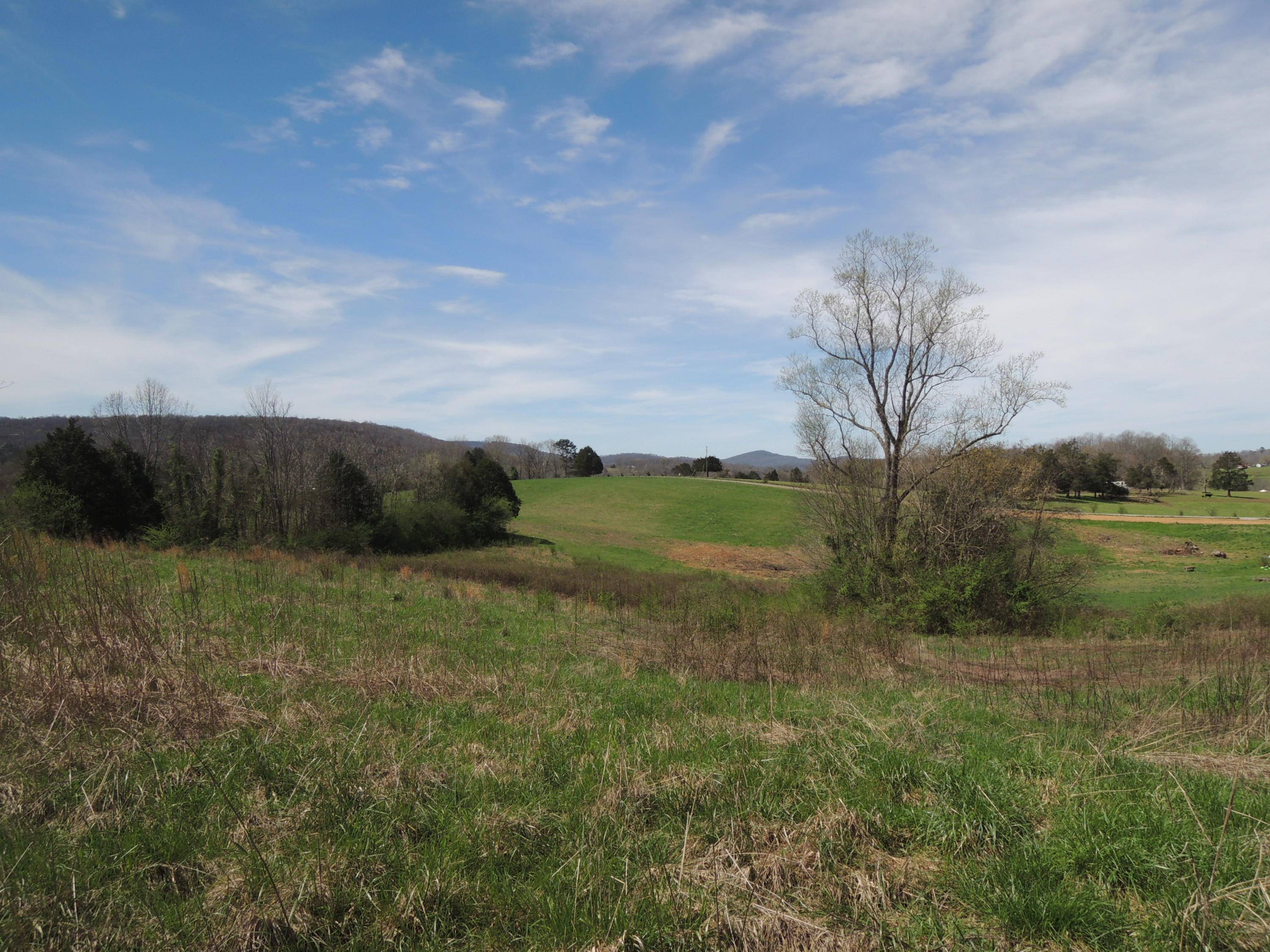 Pall Mall, TN 38577,Deer Fork Road