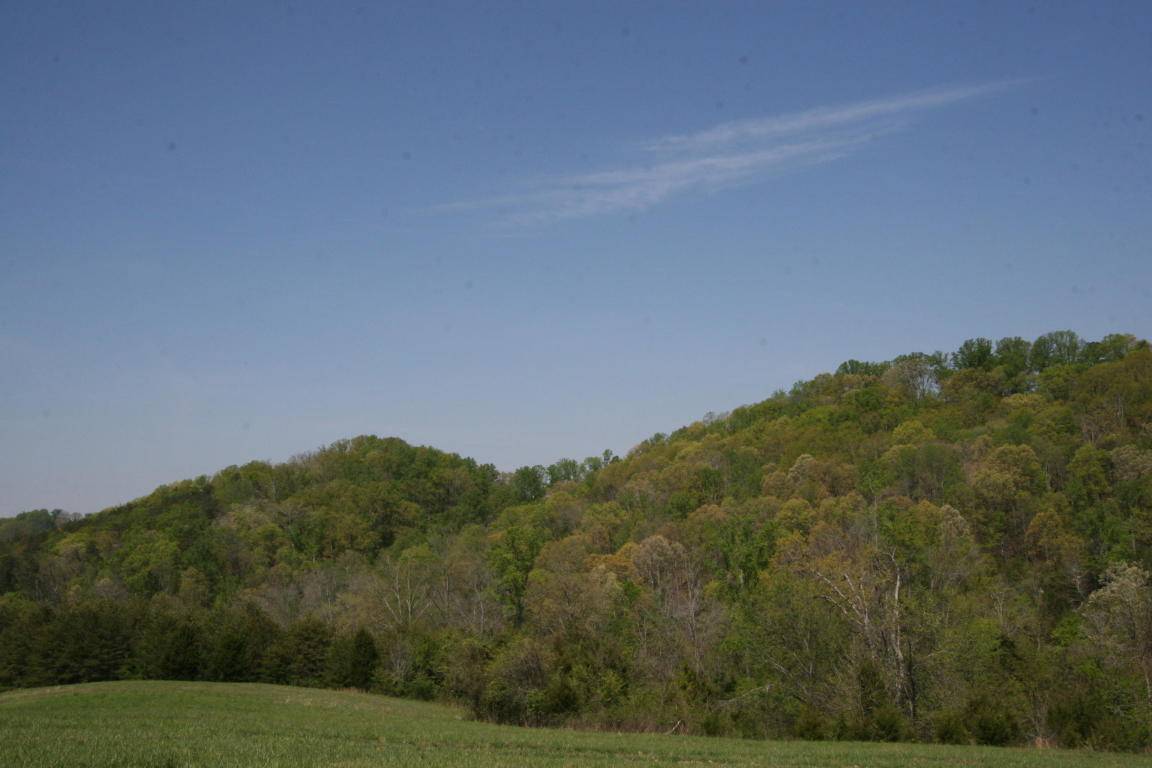 Greenback, TN 37742,Coast Tellico Pkwy