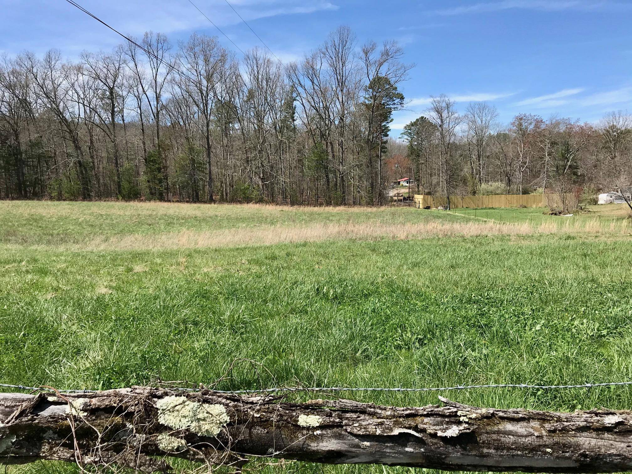 Tellico Plains, TN 37385,2.32 Massingale Rd