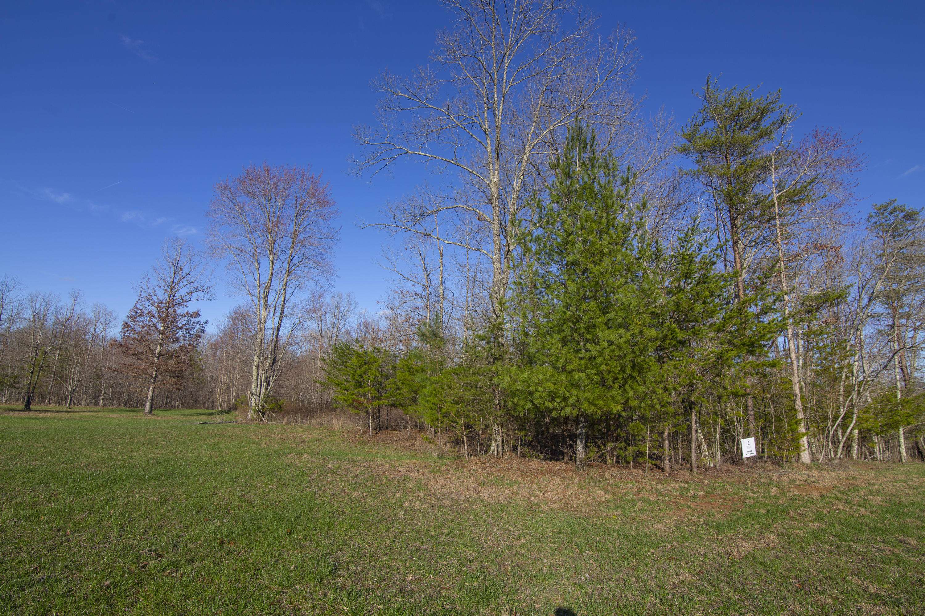 Spencer, TN 38585,Lot 29 Long Branch Rd