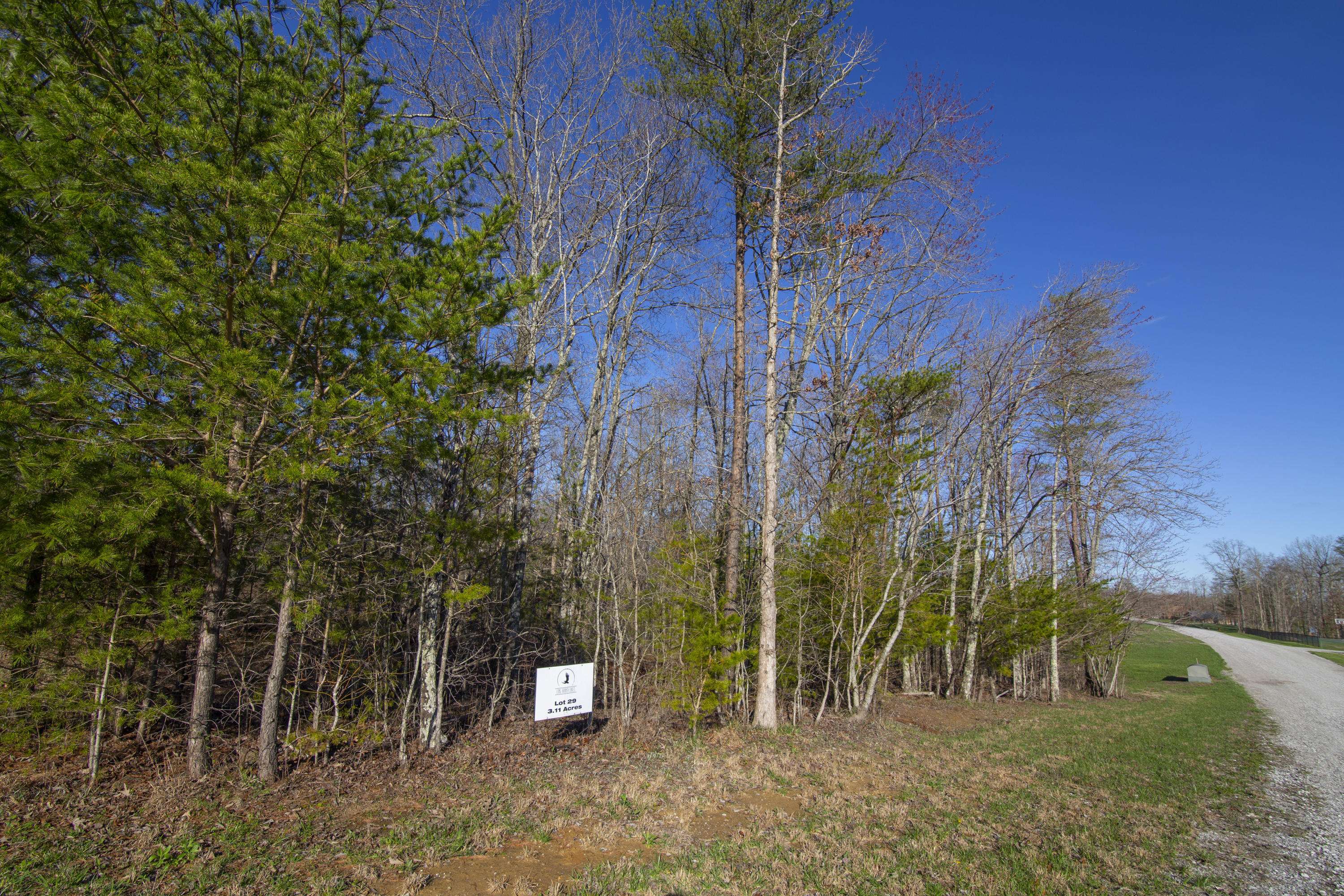 Spencer, TN 38585,Lot 29 Long Branch Rd