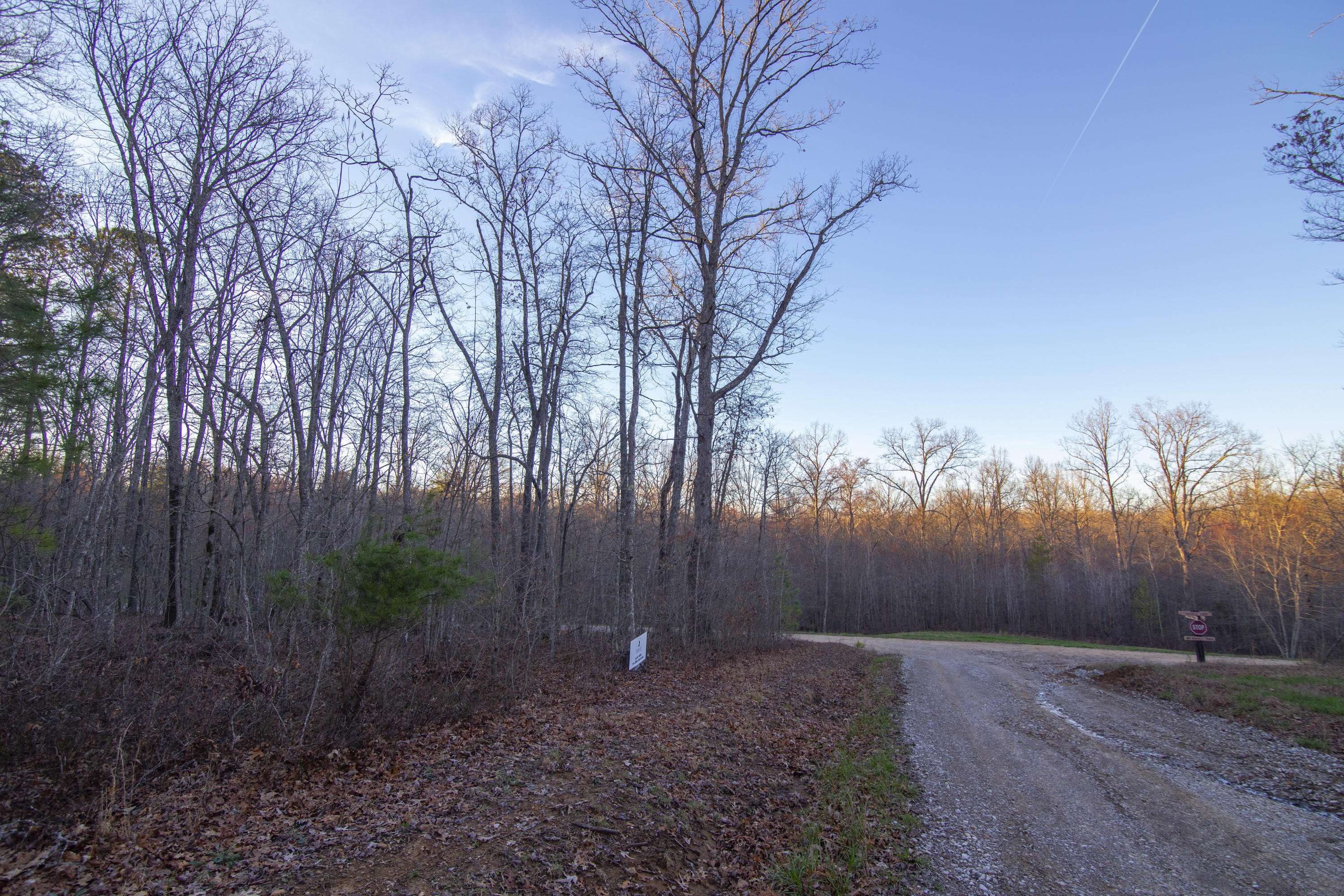 Spencer, TN 38585,Lot 65 Saddle LN