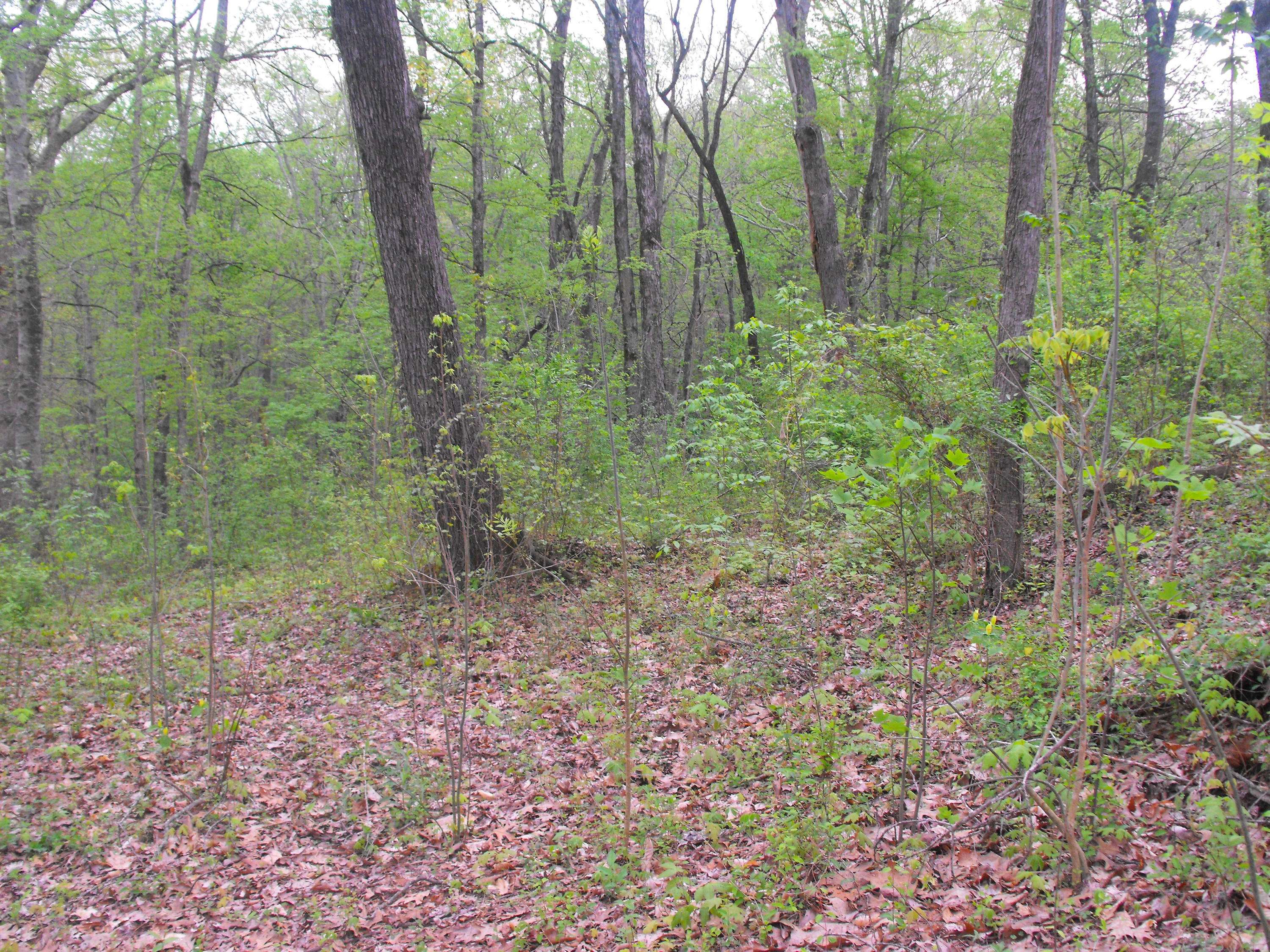 Sevierville, TN 37876,Highpoint Ln WAY