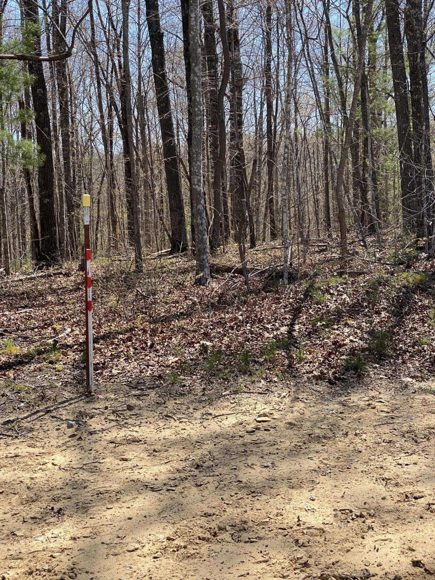 Jamestown, TN 38556,Lot 1 Spruce Creek Dr DR