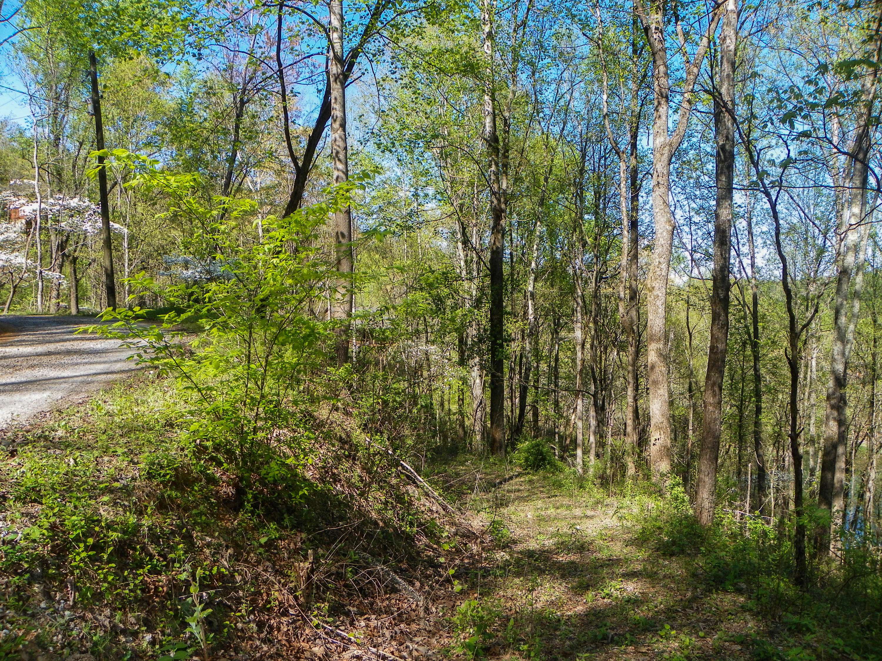 Sevierville, TN 37862,Lot# 33 Sourwood WAY