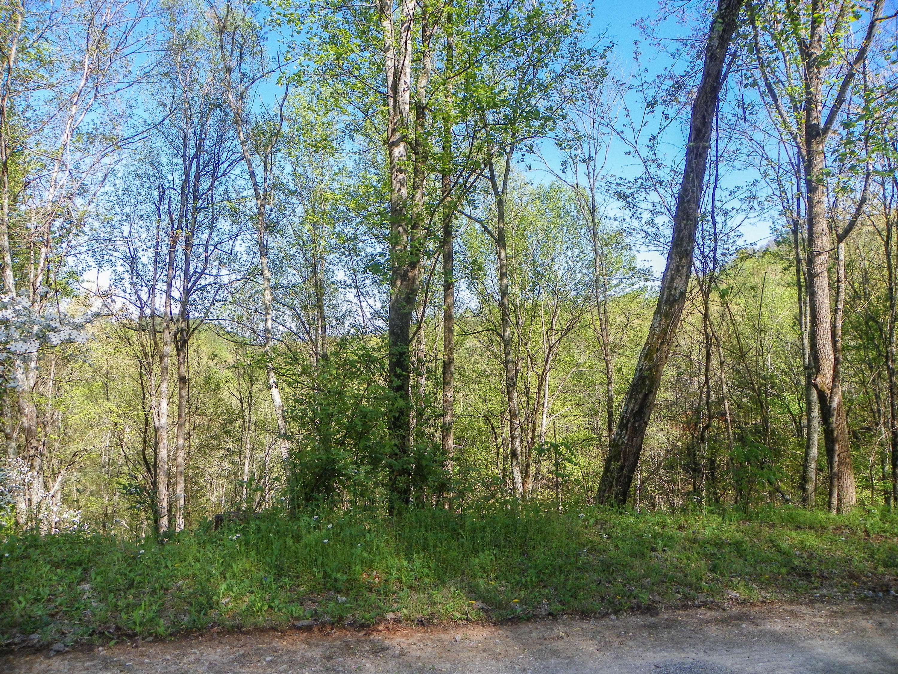 Sevierville, TN 37862,Lot# 33 Sourwood WAY