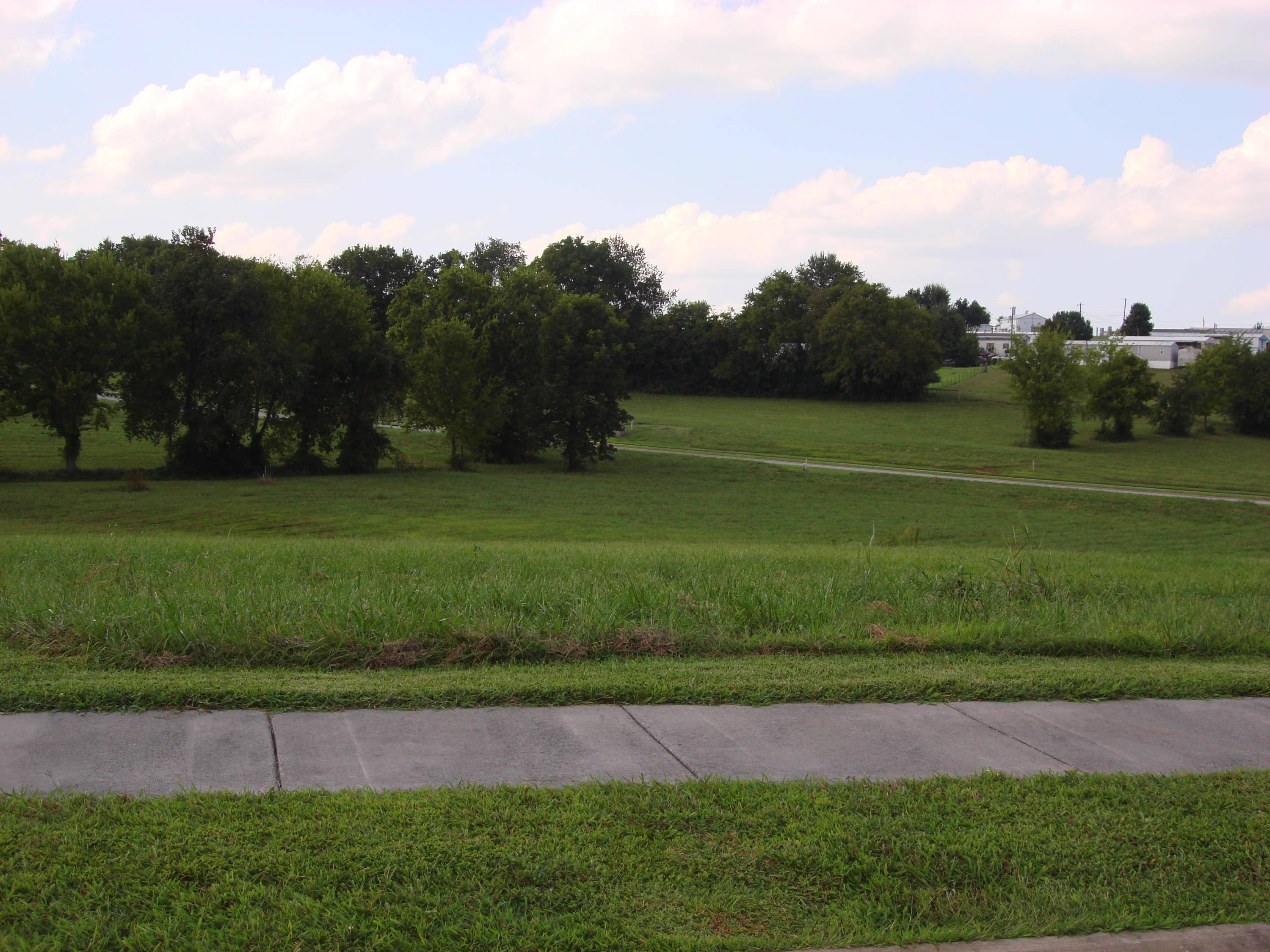 Sevierville, TN 37876,Lot 77 Cascading Falls LN