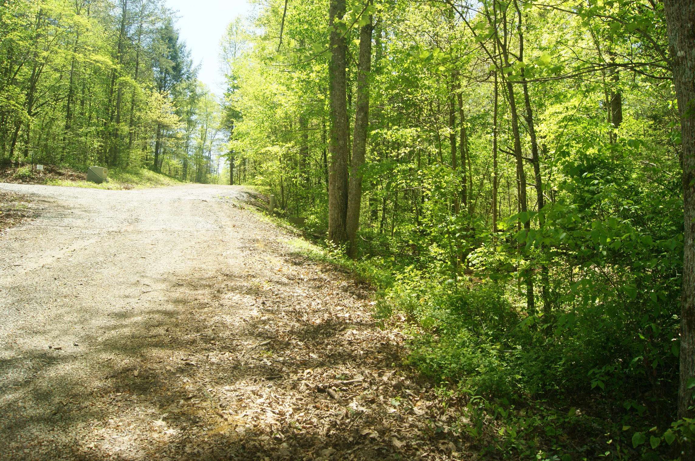 Tellico Plains, TN 37385,1428 Reagan Valley Rd