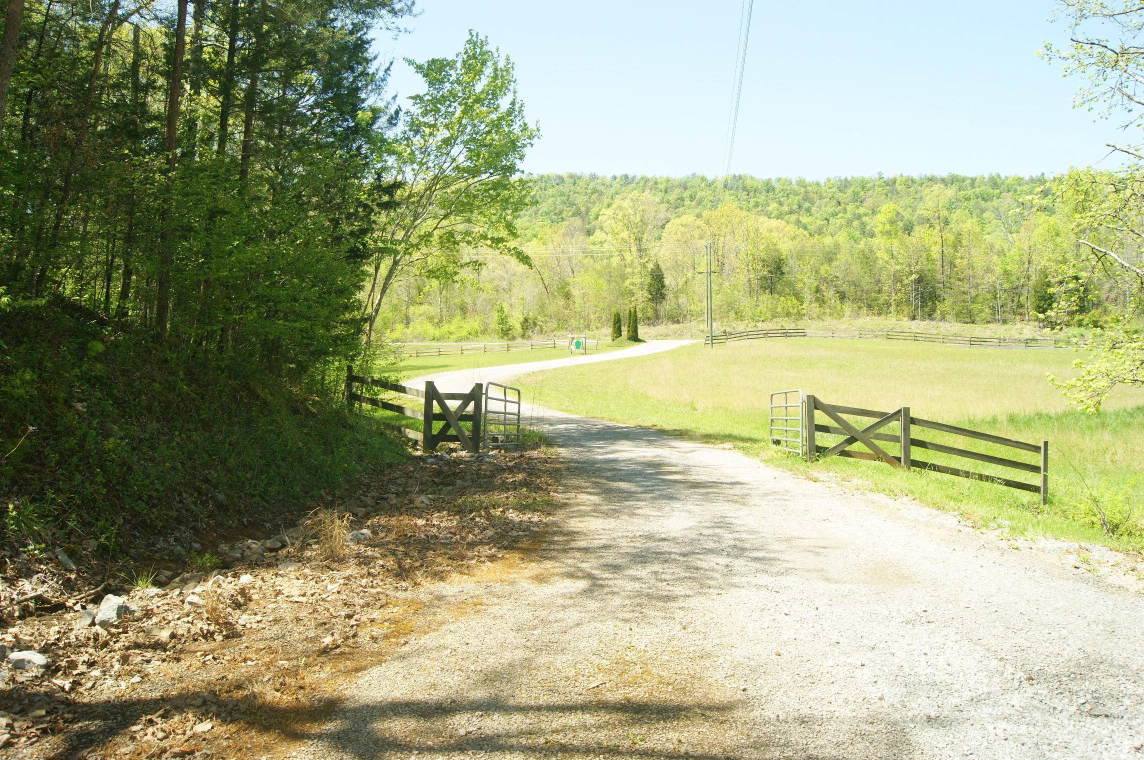 Tellico Plains, TN 37385,1428 Reagan Valley Rd