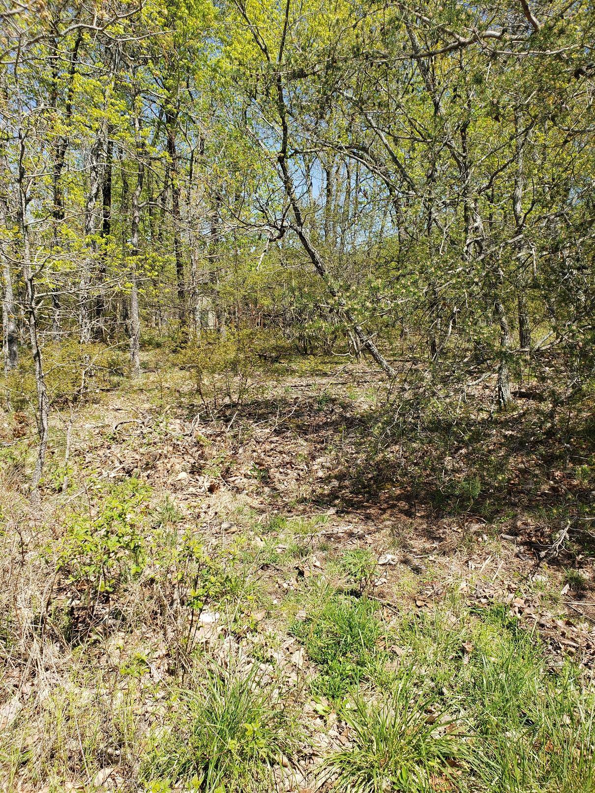 Crossville, TN 38558,Lot 21 Bent Oak LN