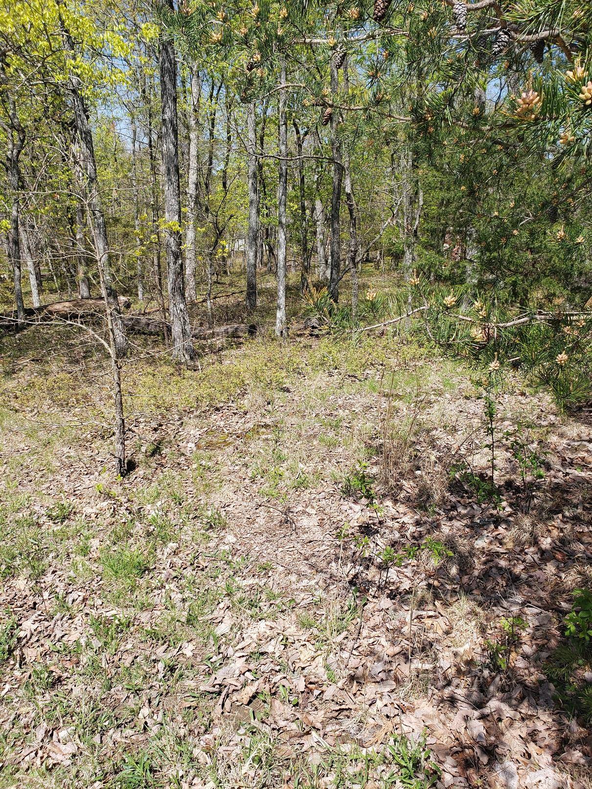 Crossville, TN 38558,Lot 21 Bent Oak LN