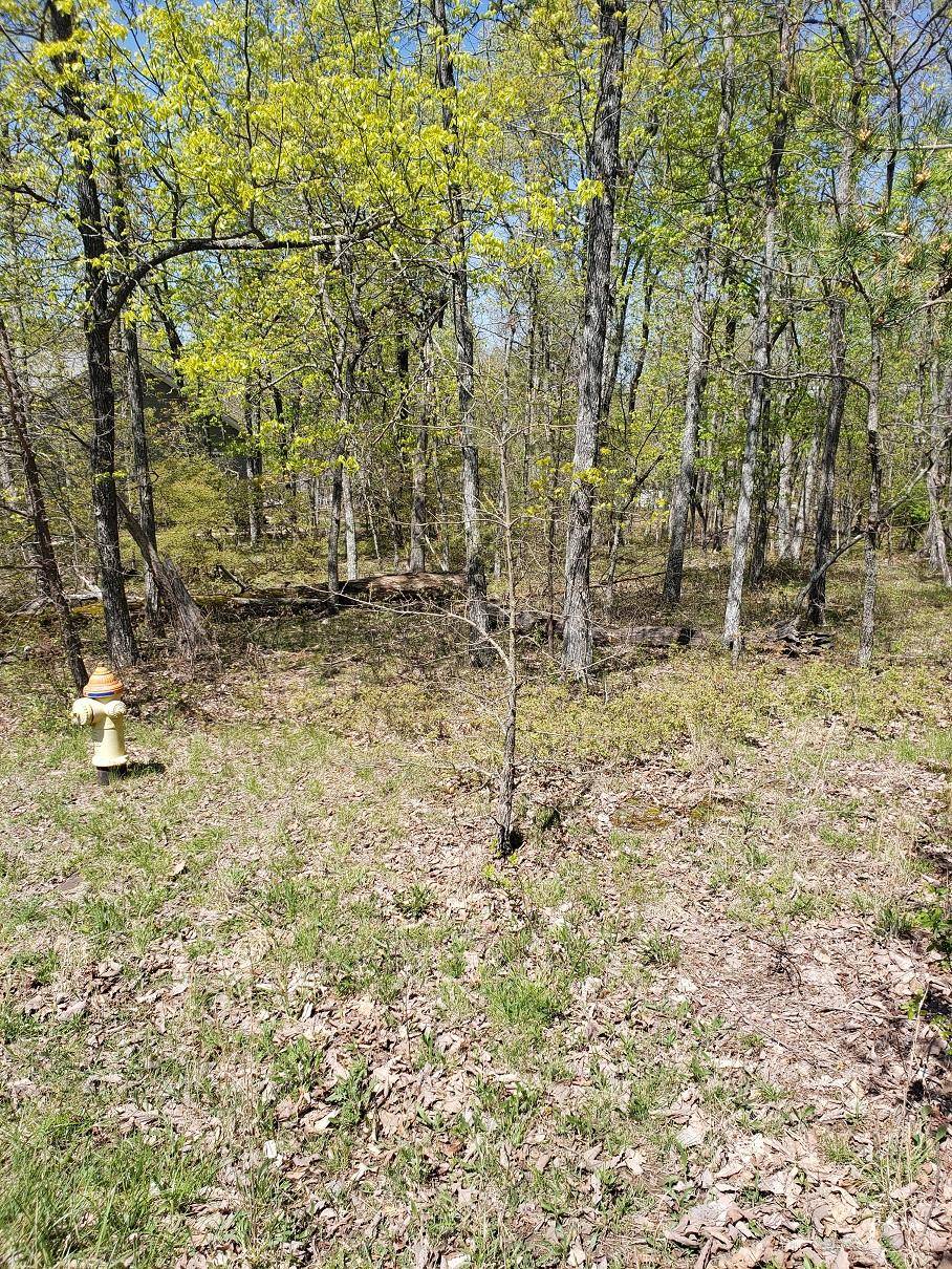 Crossville, TN 38558,Lot 21 Bent Oak LN