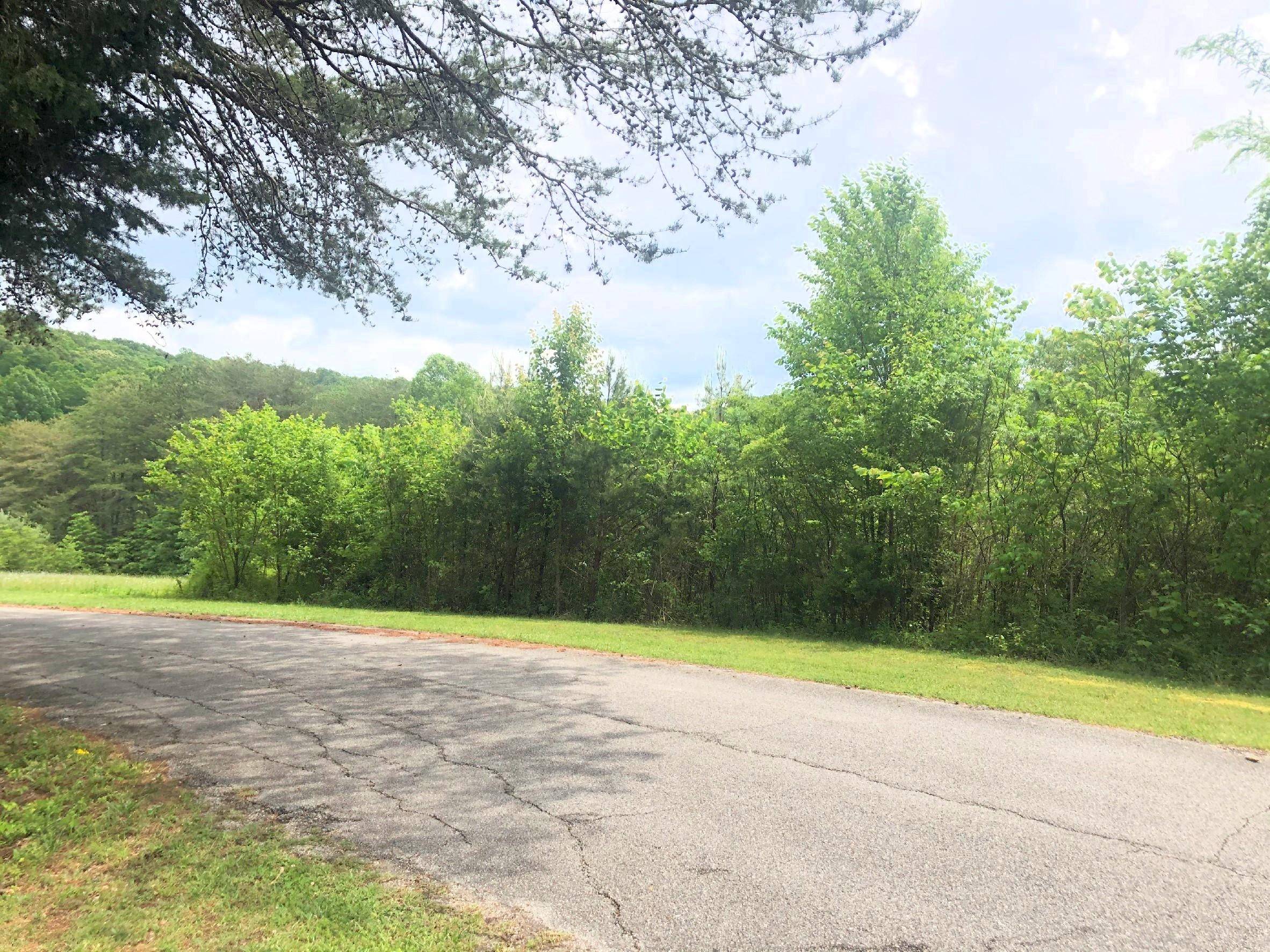 Ten Mile, TN 37880,Lot 64, Dean E DR