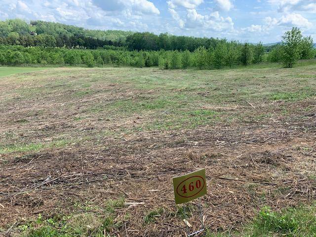 Rockwood, TN 37854,Water View Dr, Lot 460