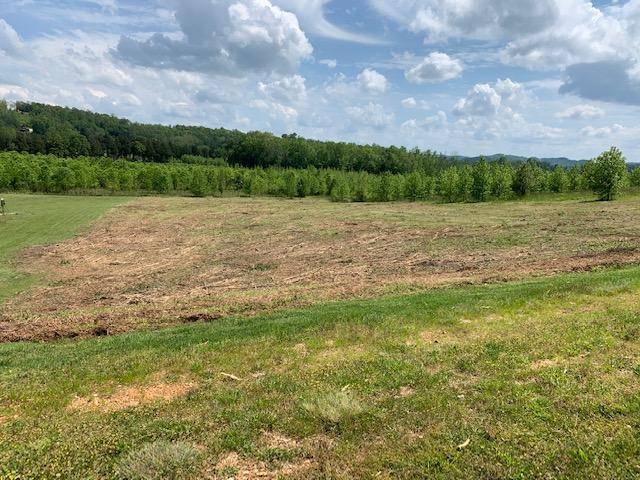 Rockwood, TN 37854,Water View Dr, Lot 460