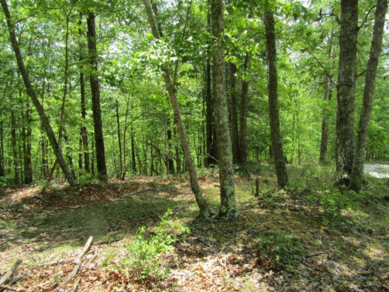 Hilham, TN 38568,Lot 9-10 Western WAY