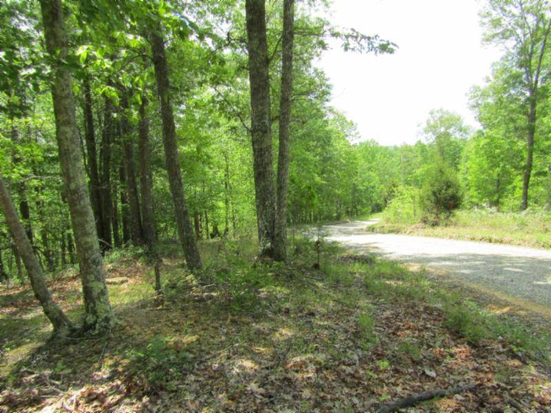 Hilham, TN 38568,Lot 9-10 Western WAY