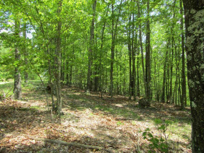 Hilham, TN 38568,Lot 9-10 Western WAY